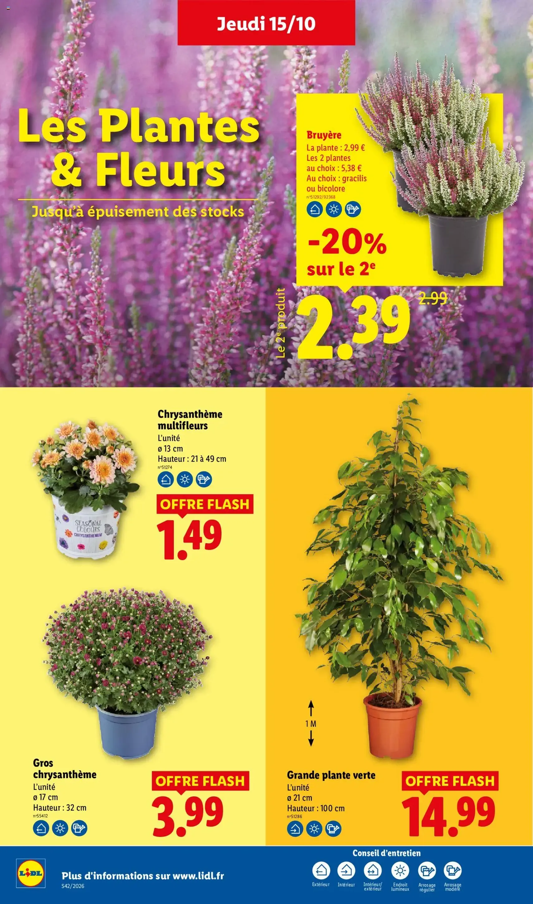 LIDL catalogue - brochure valable à partir du 15/10/2026, page 40 sur 64