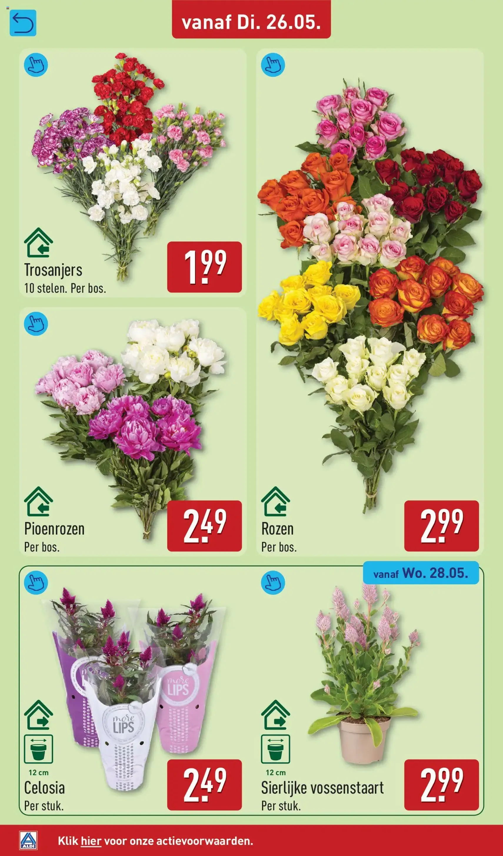 Aldi folder week 22 - geldige folder vanaf 26-05-2026 pagina 38 van 71