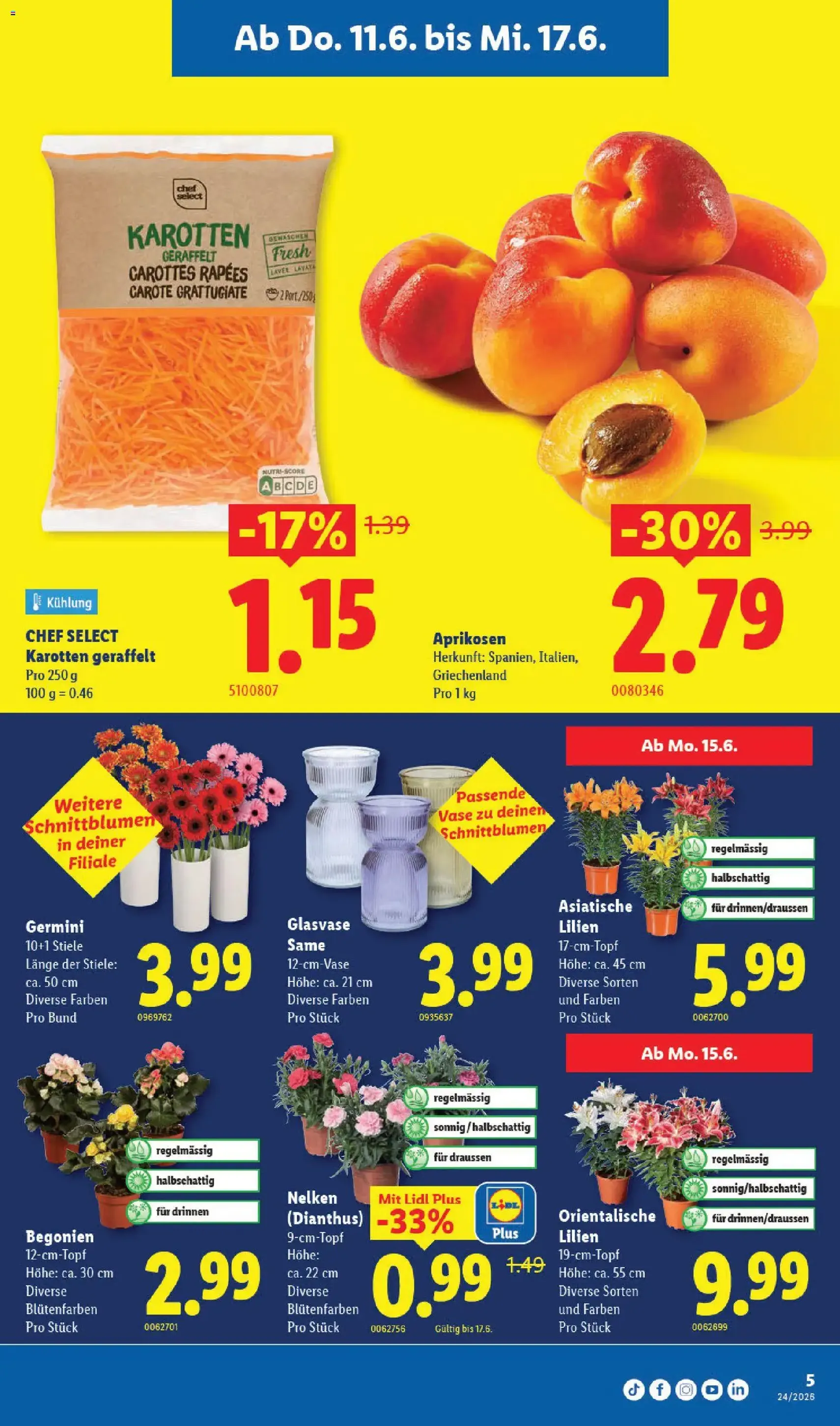 Lidl aktionen - Gültiger Prospekt ab 11.06.2026, Seite 5 von insgesamt 40