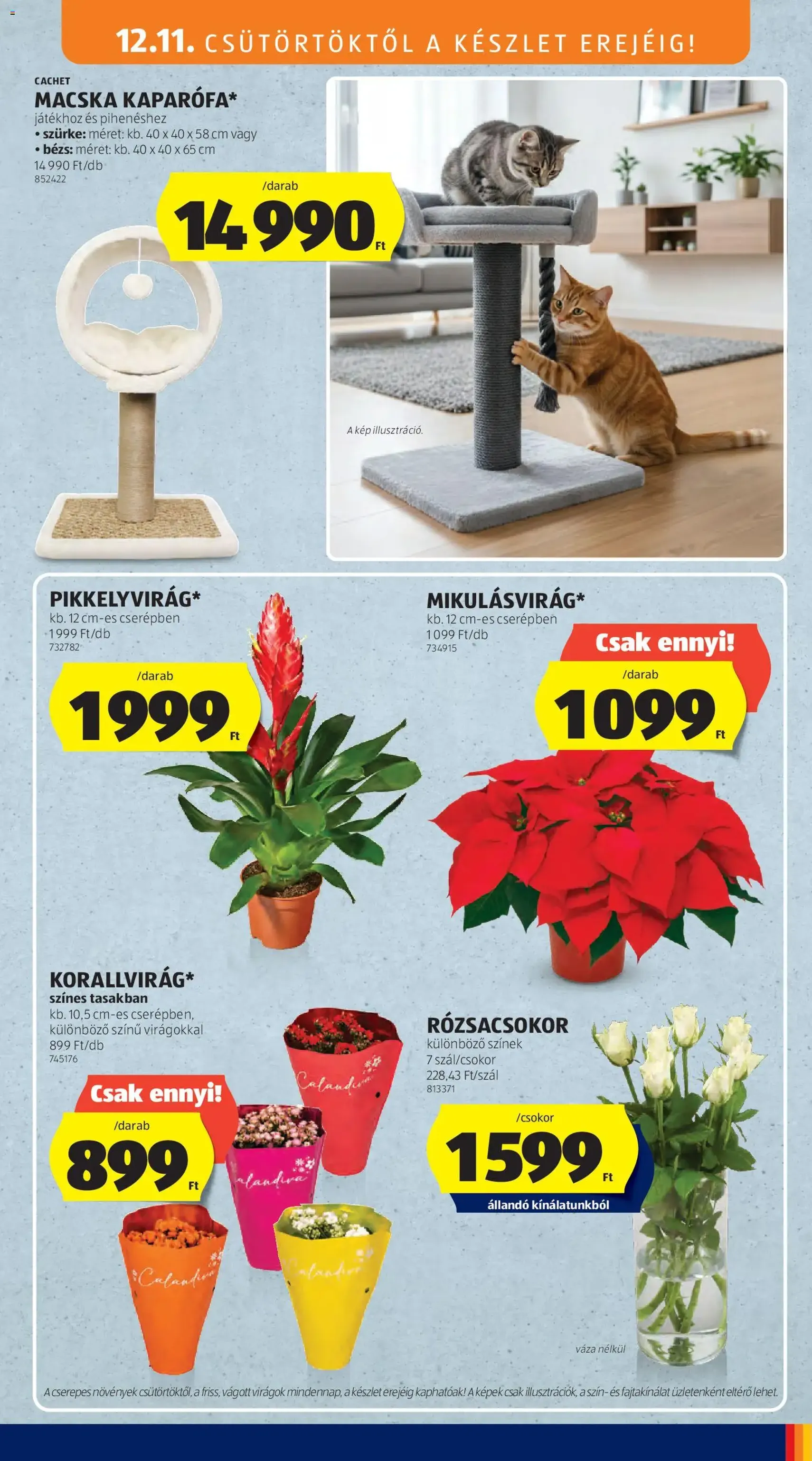 Aldi Akciós újság - 2025.12.11. érvényes szórólap 37 oldal 71 oldalból