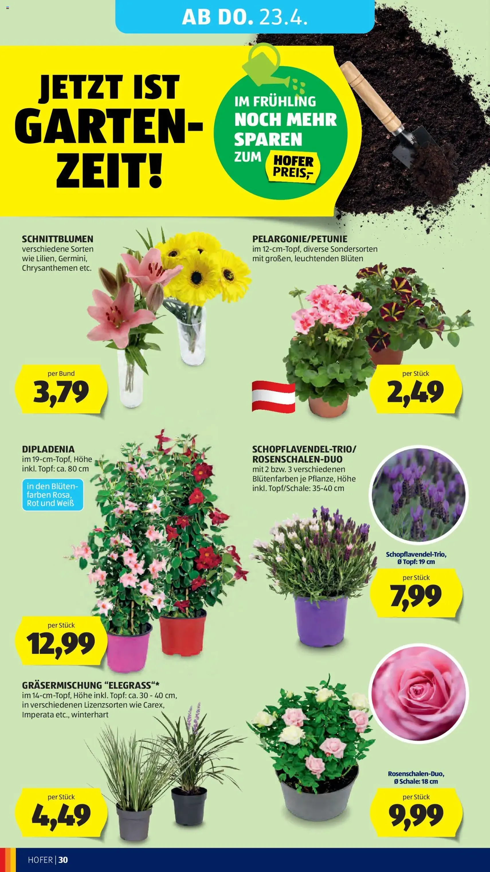 Hofer Flugblatt - Gültiger Prospekt ab 20.04.2026, Seite 34 von insgesamt 45