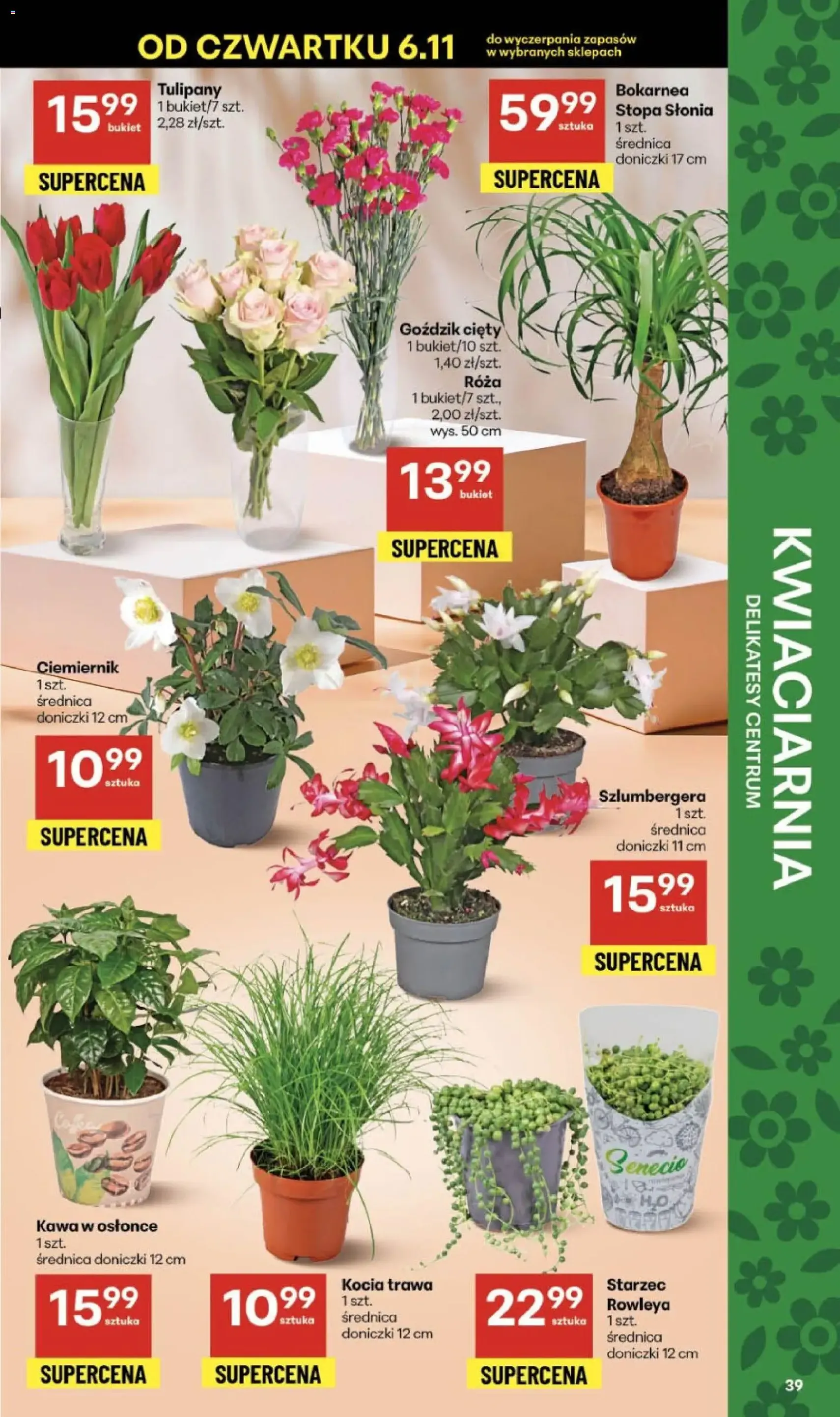 Delikatesy Centrum Gazetka - ważny gazetka od 06.11.2025 strona 39 z 40