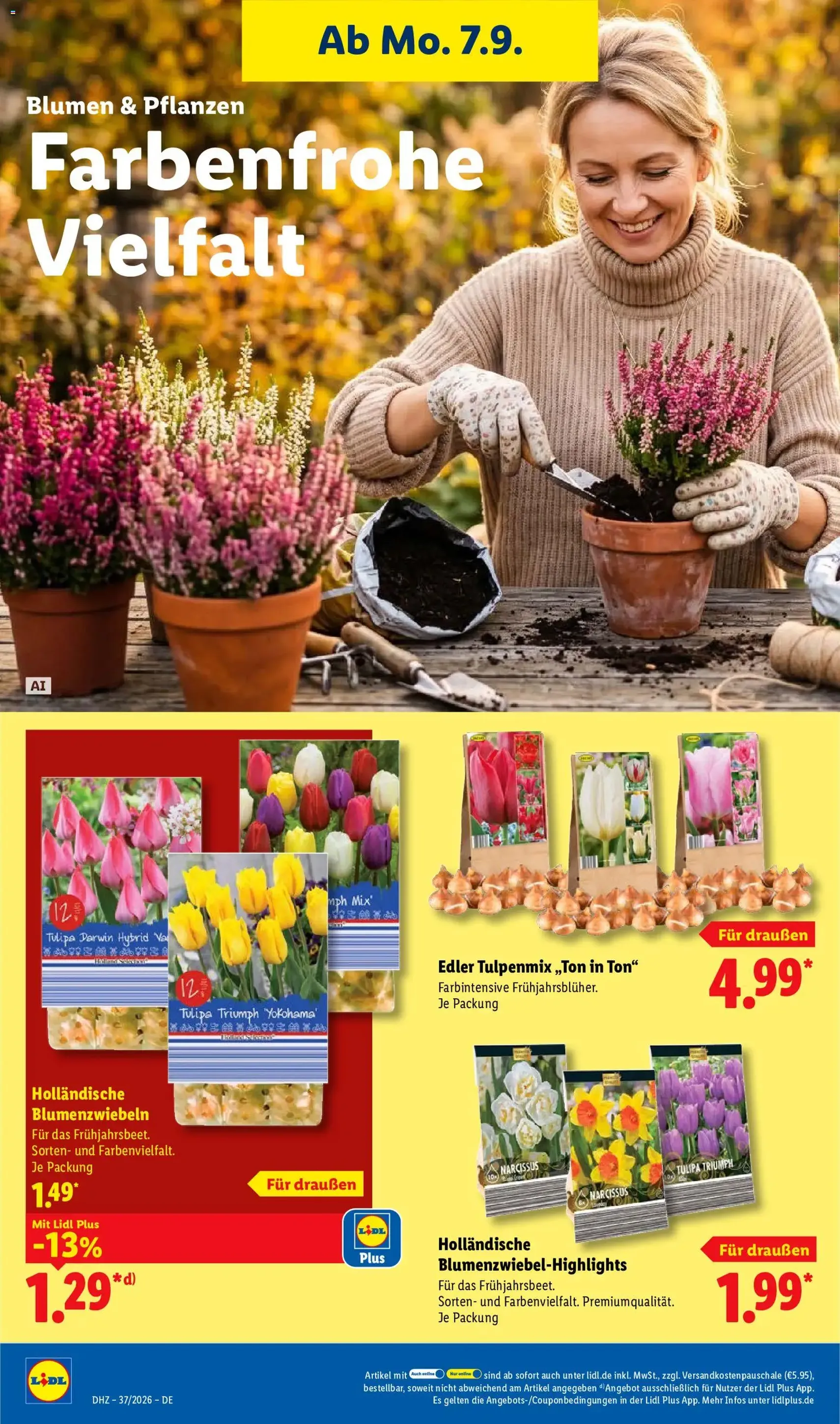Lidl Prospekt - Gültiger Prospekt ab 07.09.2026, Seite 26 von insgesamt 73