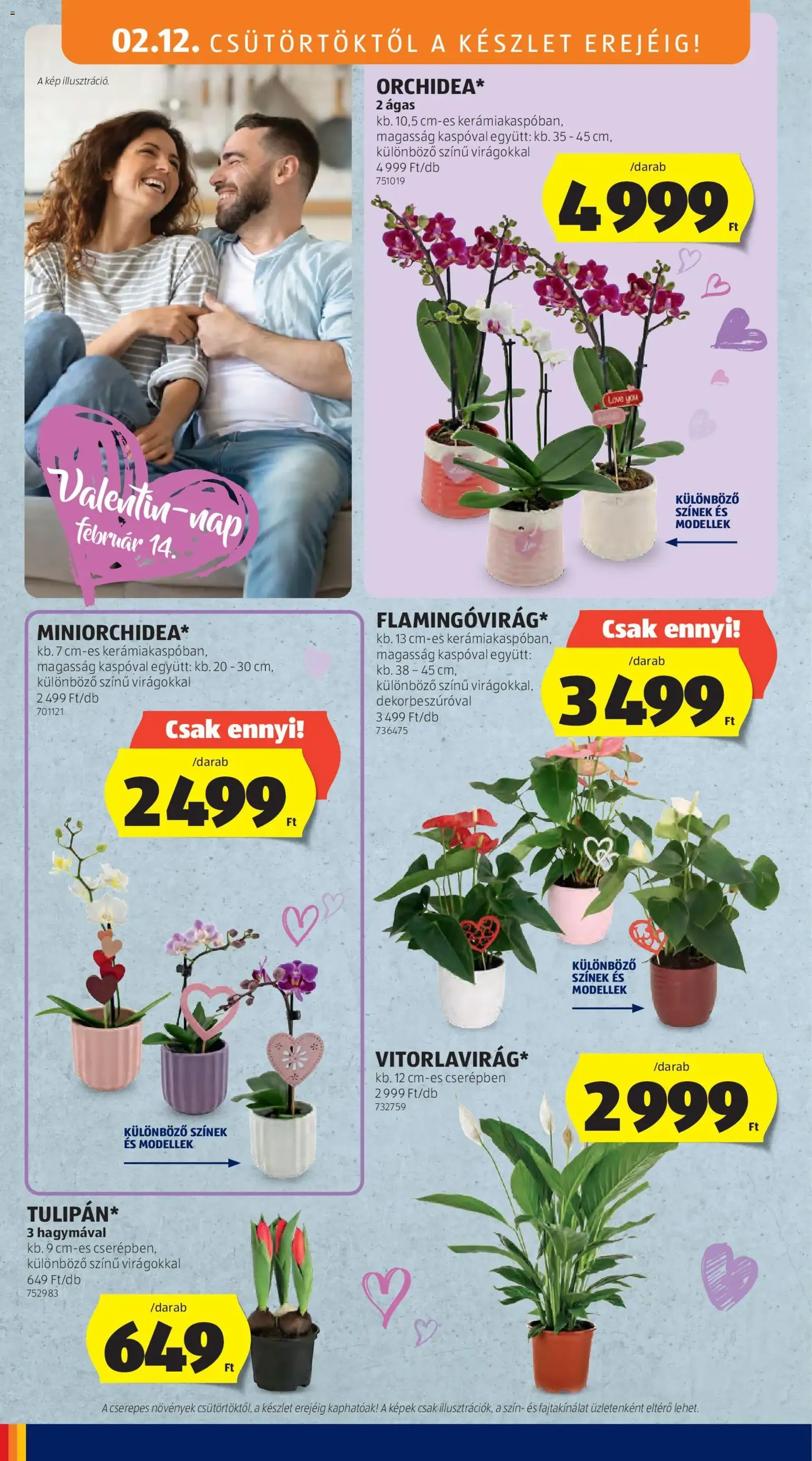 Aldi Akciós újság - 2026.02.12. érvényes szórólap 16 oldal 47 oldalból