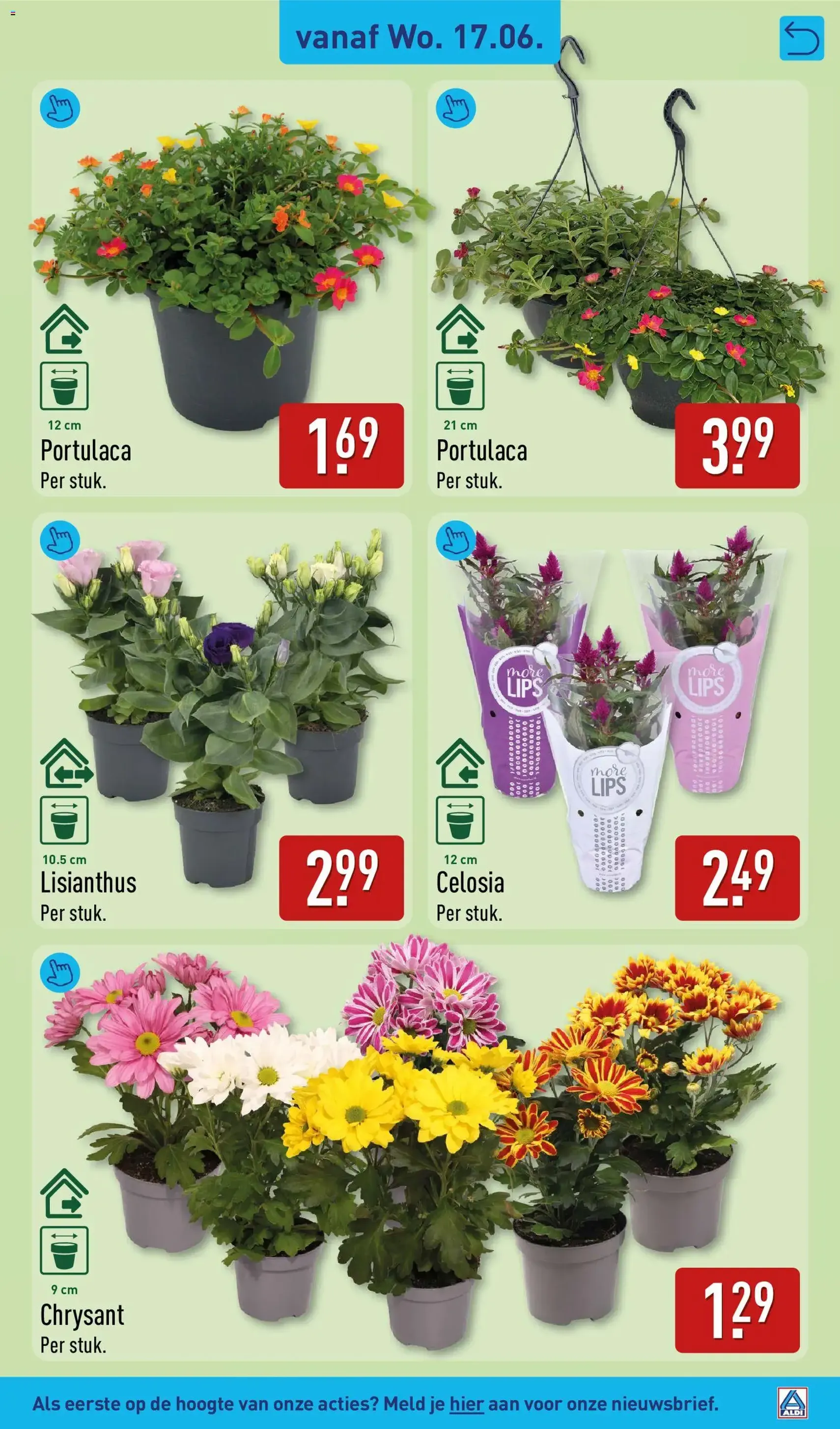 Aldi folder week 25 - geldige folder vanaf 15-06-2026 pagina 41 van 66
