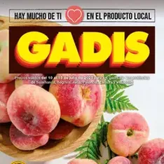 Vista previa del folleto Gadis folleto válido desde 10/07/2025