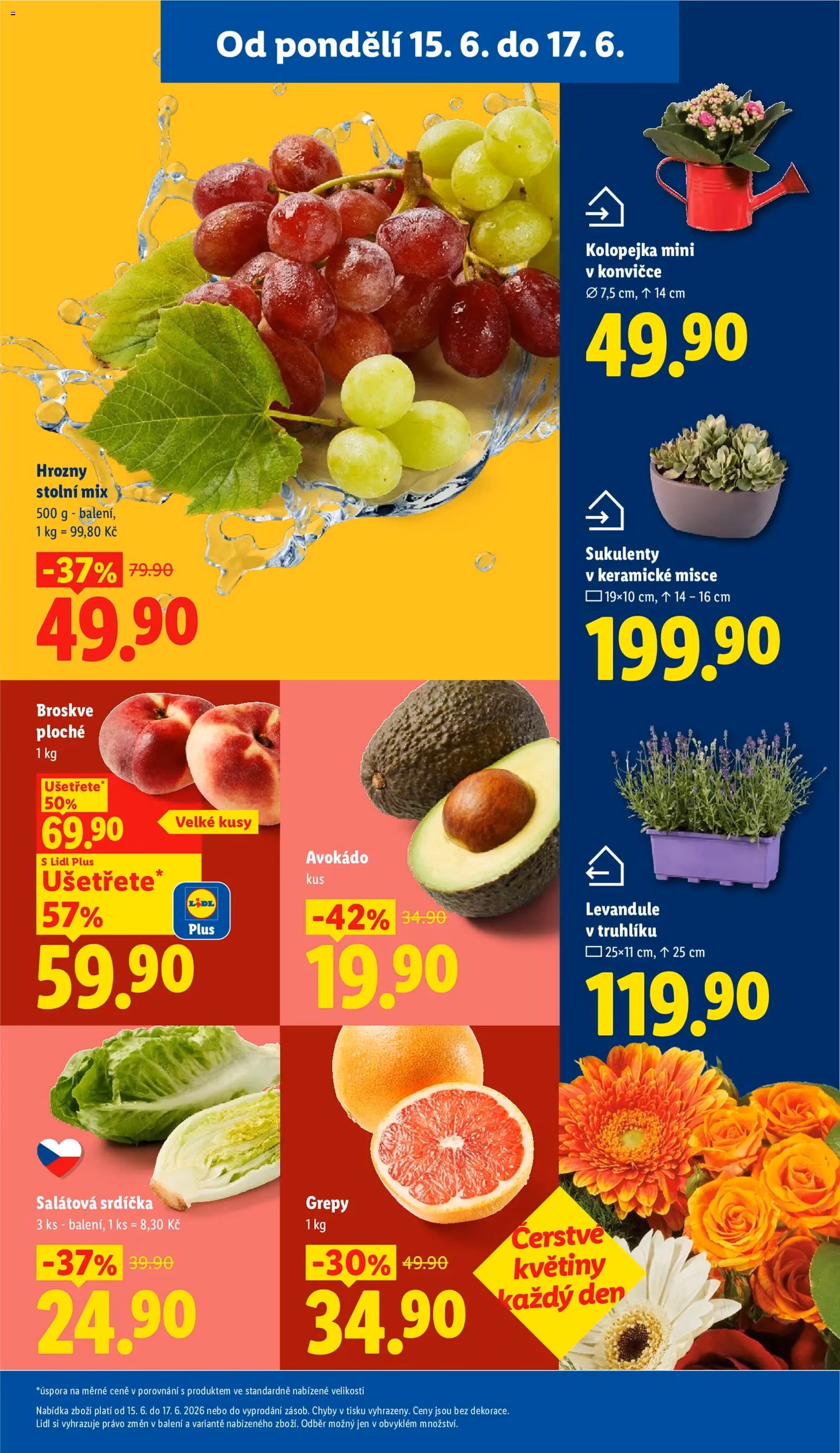 Lidl leták - platný leták od 15.06.2026 strana 11 z 51