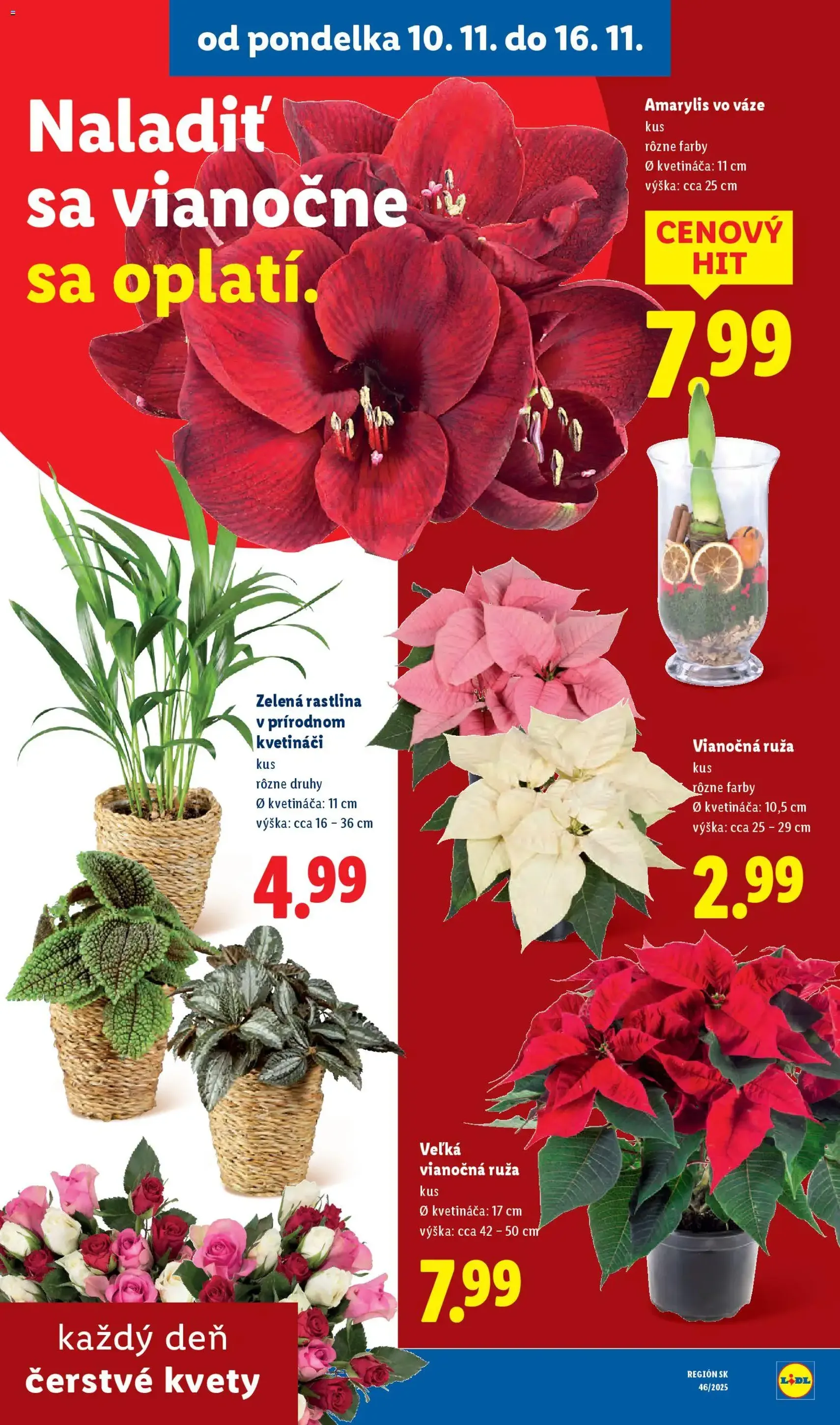 Lidl leták - platný leták od 10.11.2025 strana 47 z 106