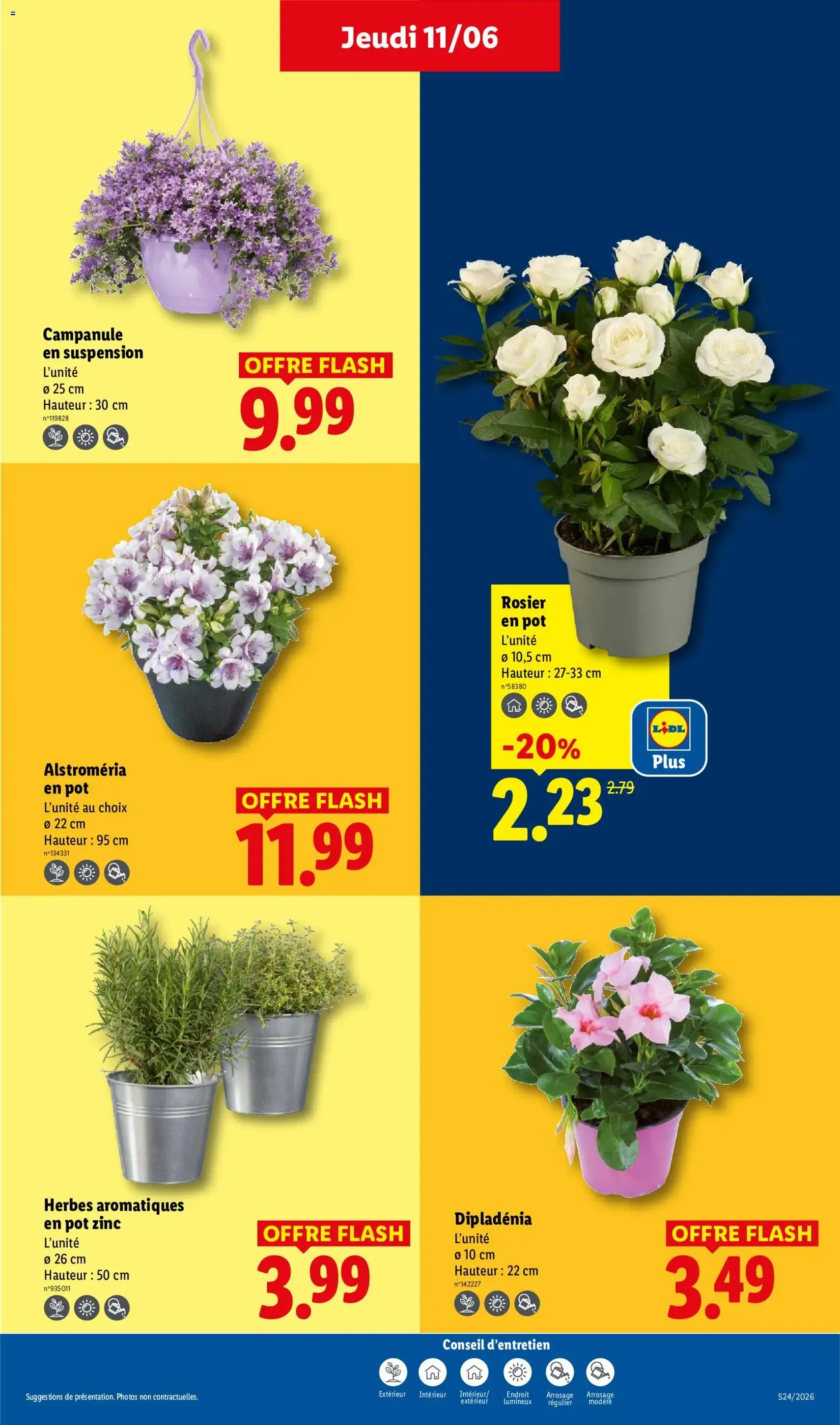 LIDL catalogue - brochure valable à partir du 11/06/2026, page 29 sur 67
