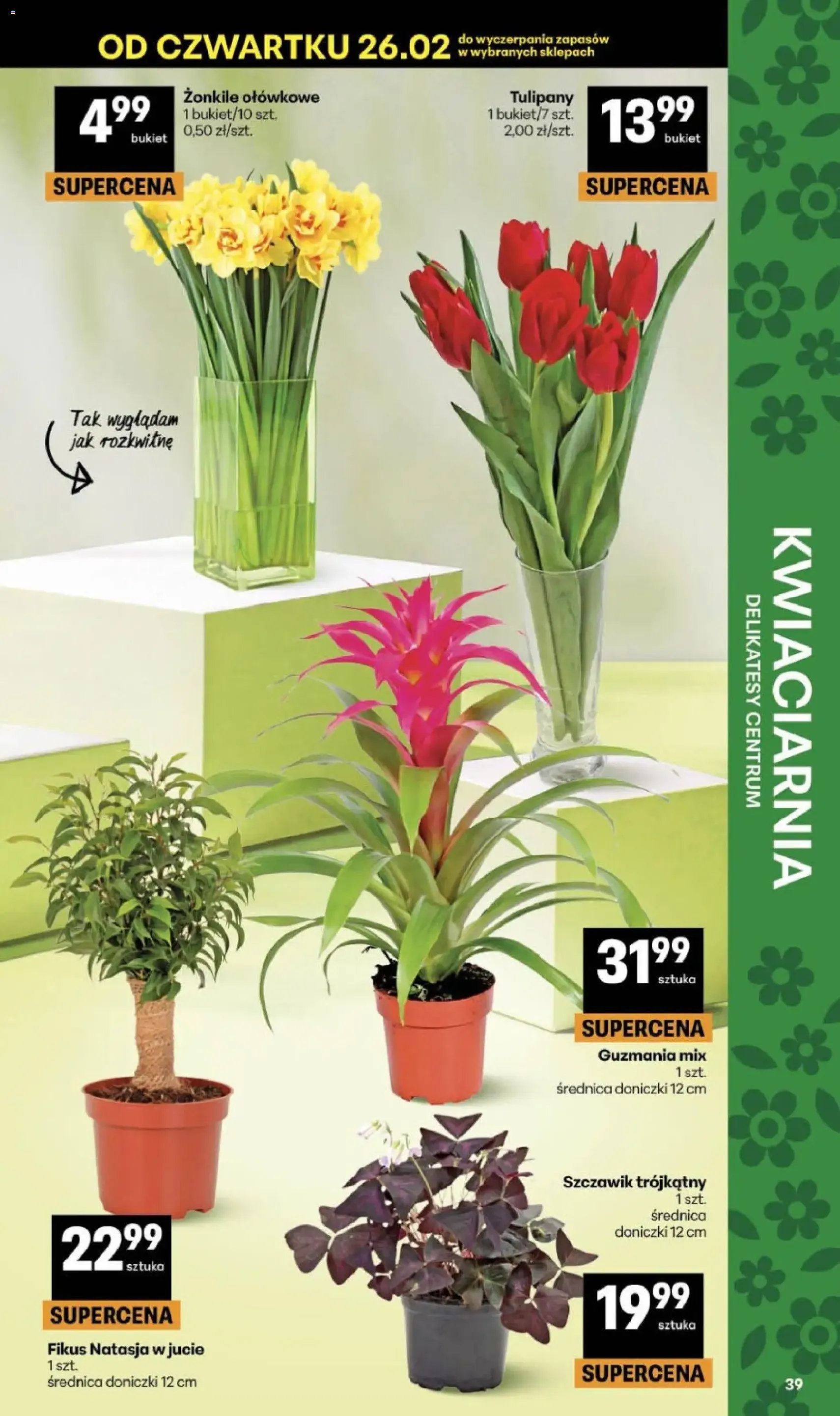 Delikatesy Centrum Gazetka - ważny gazetka od 26.02.2026 strona 39 z 40