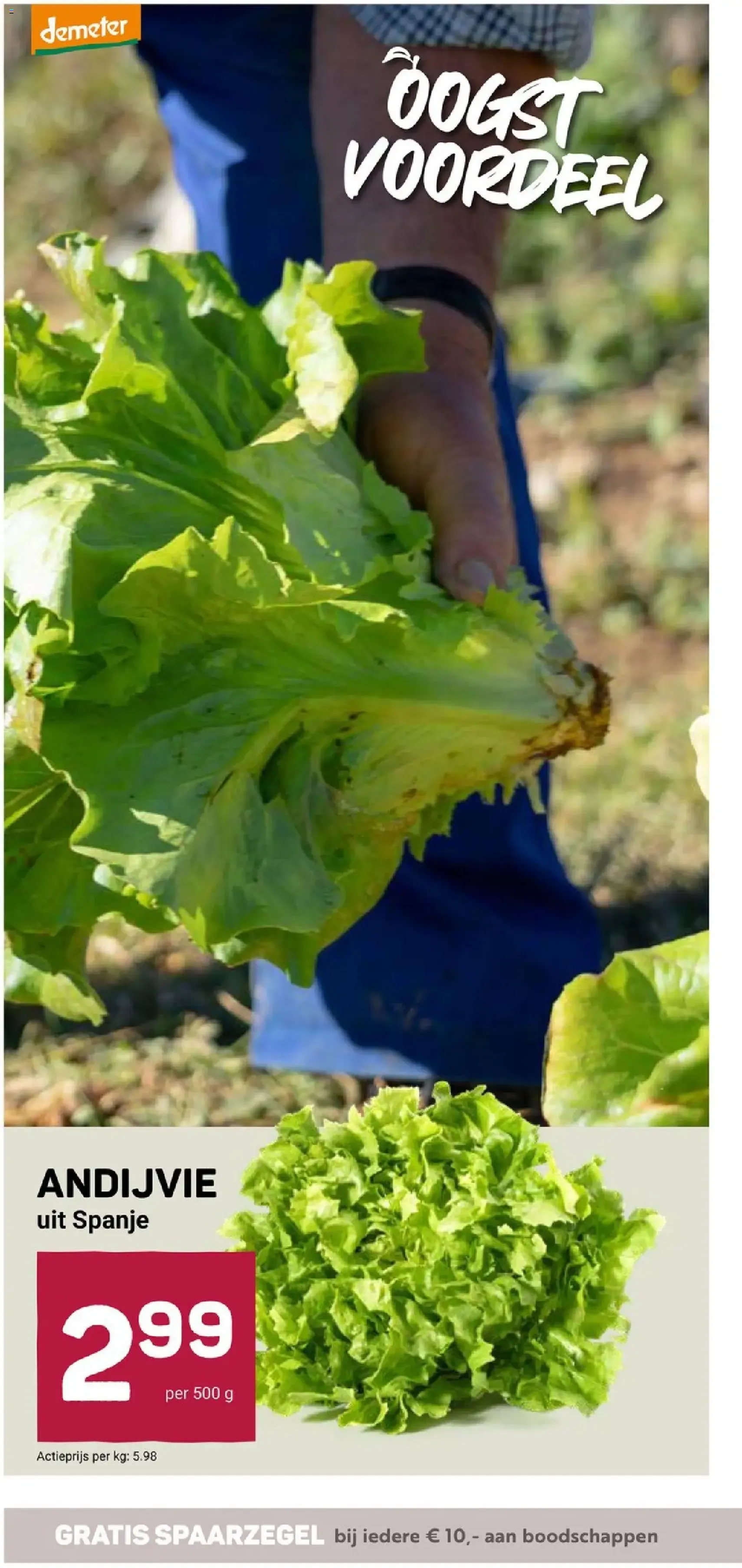 Ekoplaza - Folder week 5 - geldige folder vanaf 28-01-2026 pagina 14 van 20