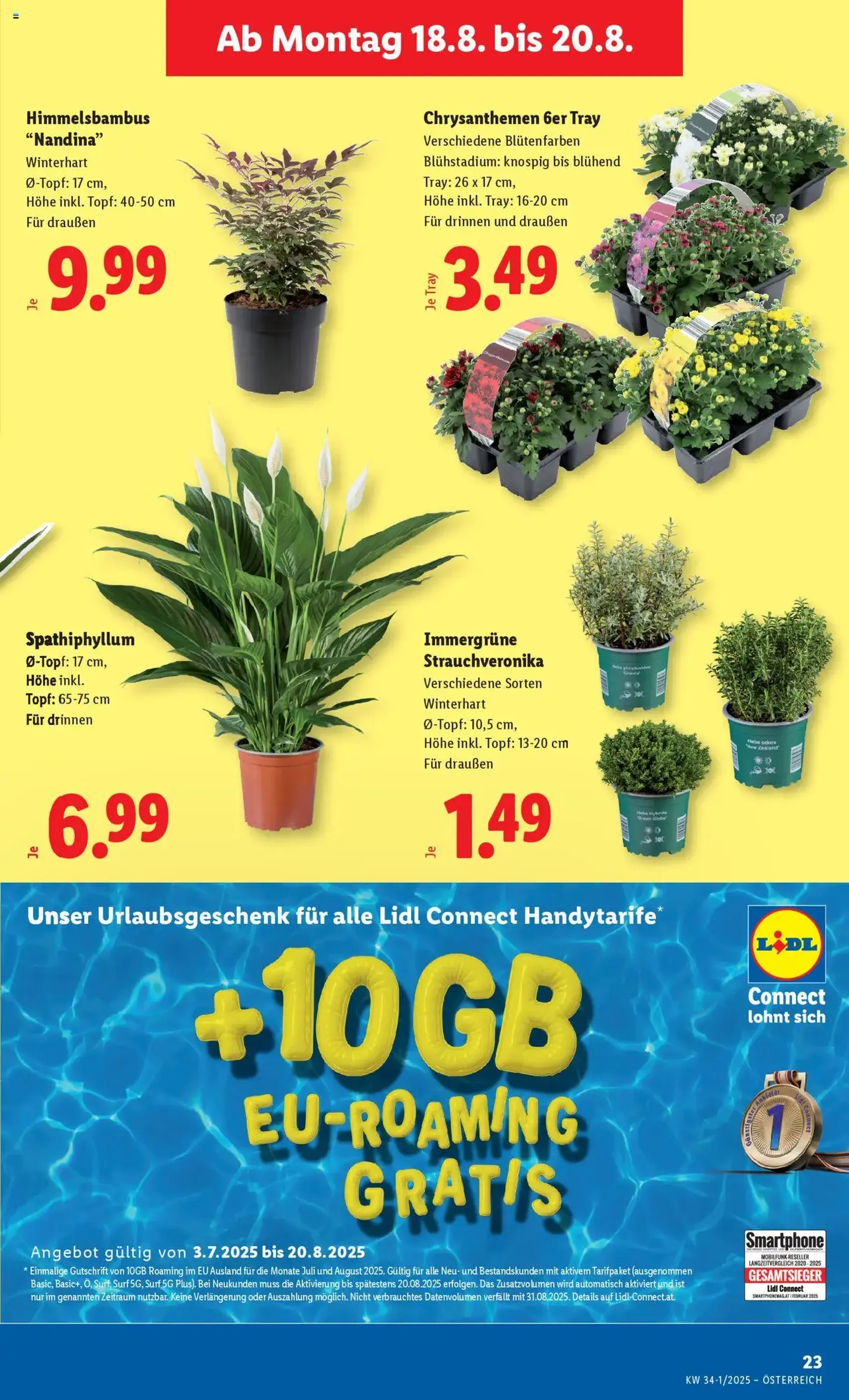 Lidl Flugblatt - Gültiger Prospekt ab 14.08.2025, Seite 27 von insgesamt 42 Lidl Flugblatt - Gültiger Prospekt ab 14.08.2025, Seite 27 von insgesamt 42