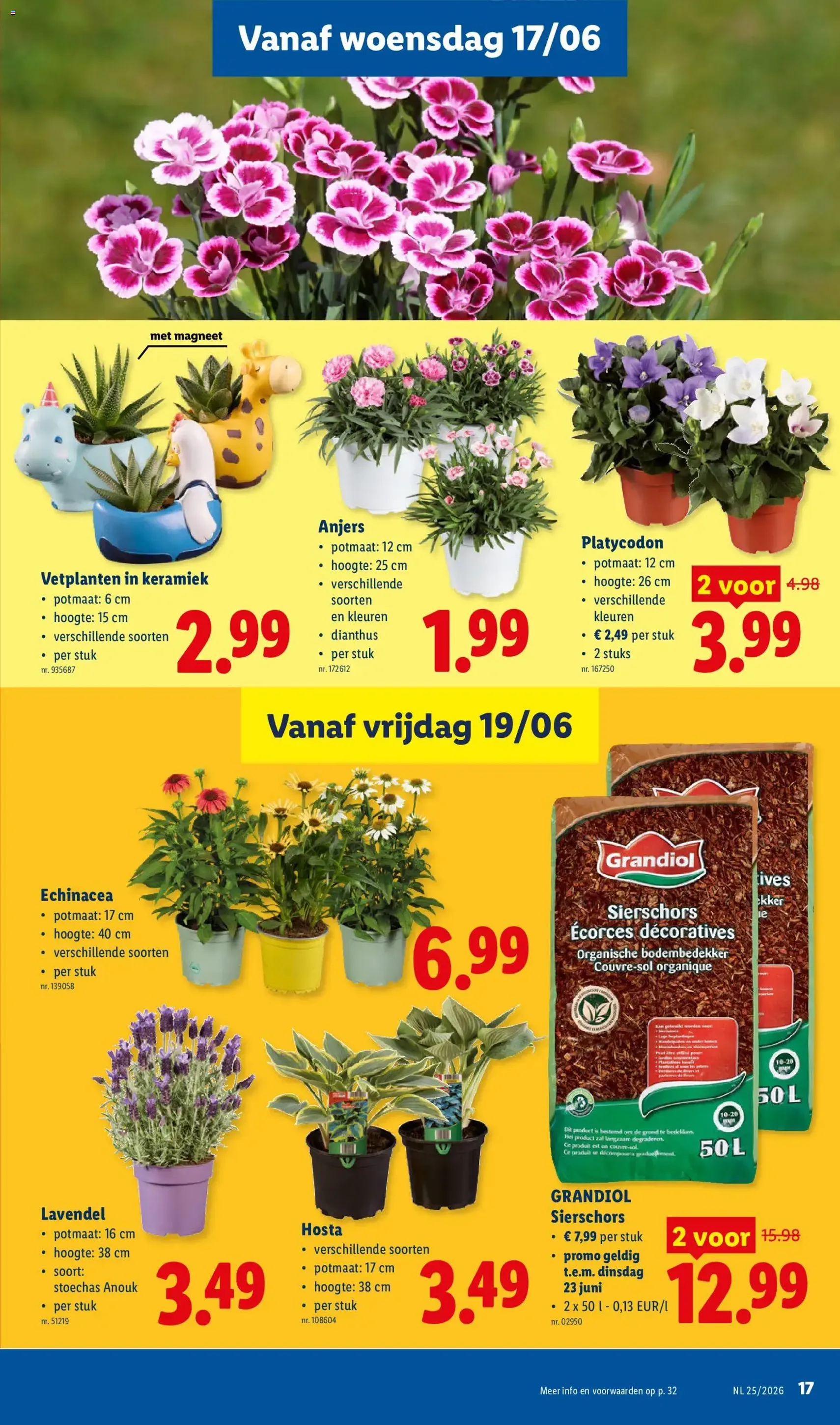 Lidl Folder week 25 - geldige folder vanaf 15/06/2026 pagina 17 van 32