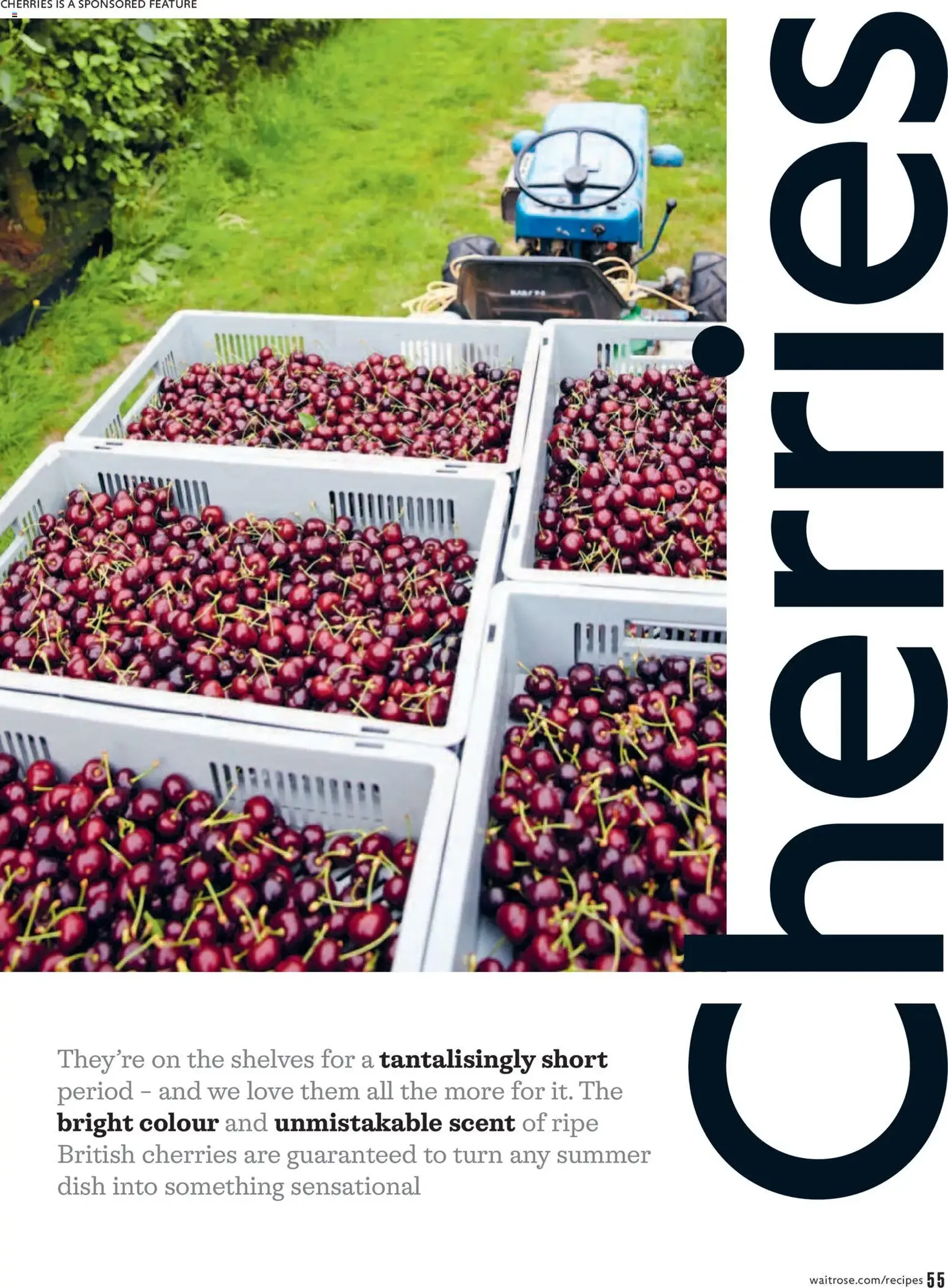 Waitrose - Offers - valid flyer from 01/07/2026, page 55 of 156