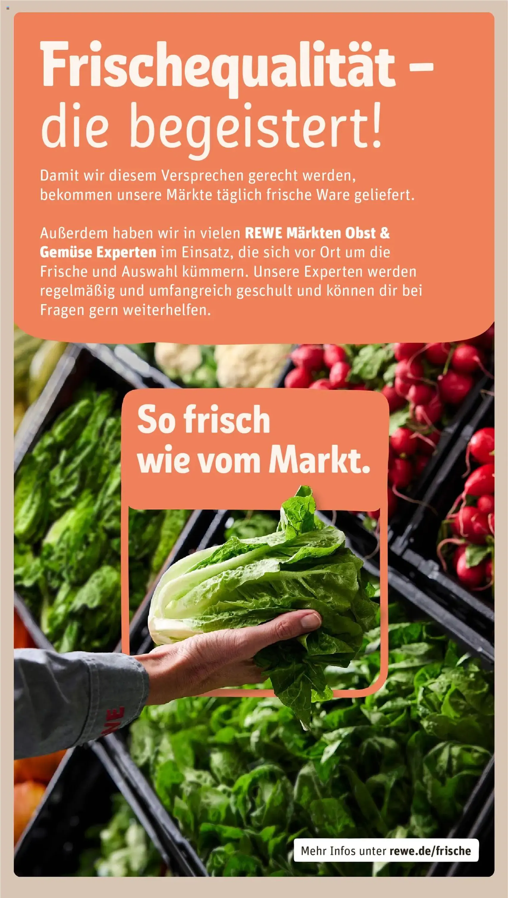 Rewe DE - DE Folder - geldige folder vanaf 26-01-2026 pagina 25 van 28