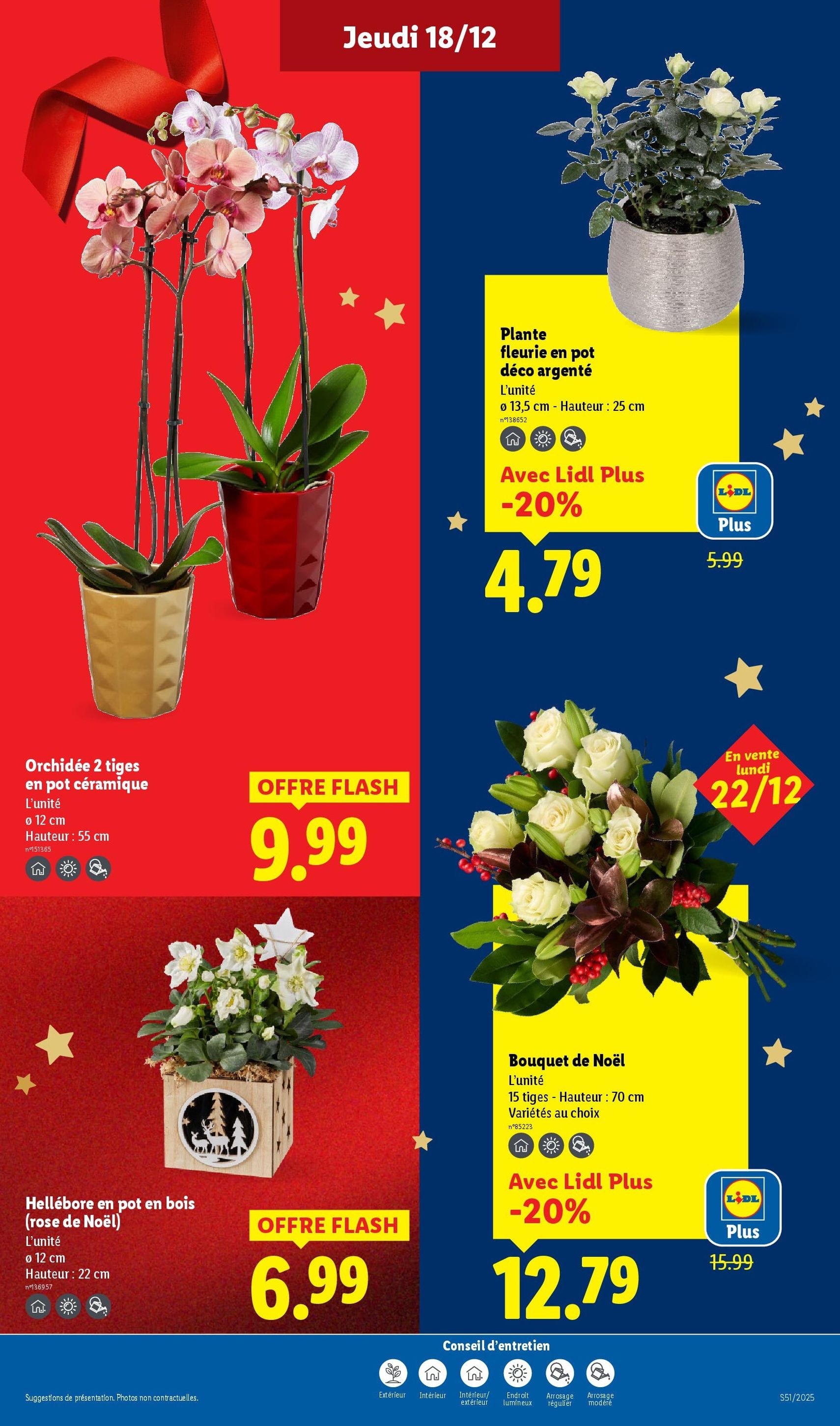 LIDL catalogue semaine 51 - brochure valable à partir du 18/12/2025, page 37 sur 87
