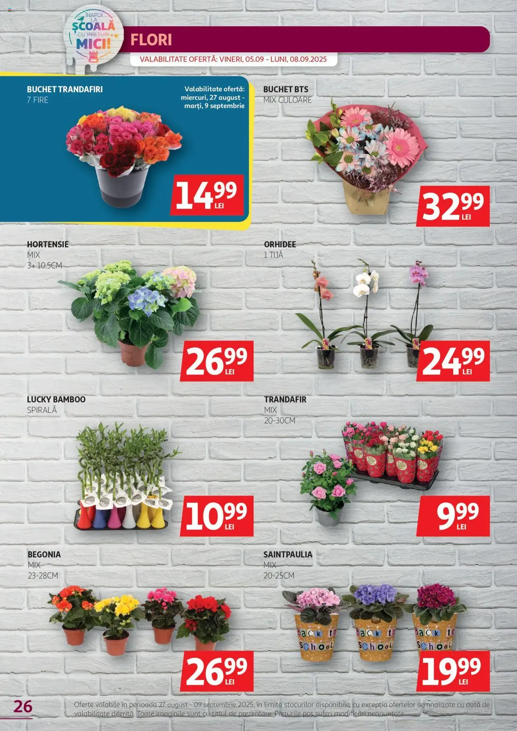 Catalog Auchan - cataloage valabile începând cu 27.08.2025 pagina 26 din 28 Catalog Auchan - cataloage valabile începând cu 27.08.2025 pagina 26 din 28