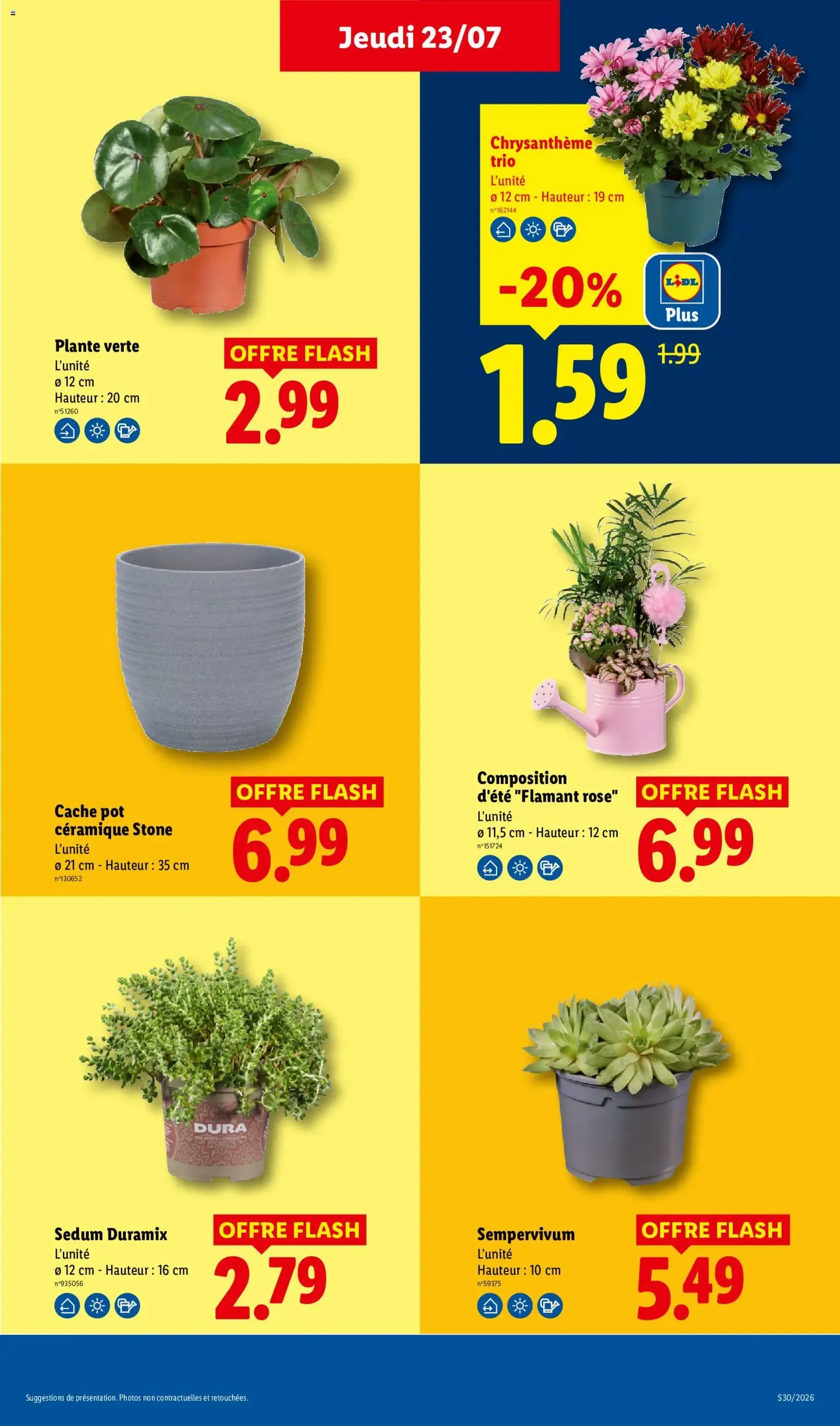 LIDL catalogue - brochure valable à partir du 23/07/2026, page 31 sur 64