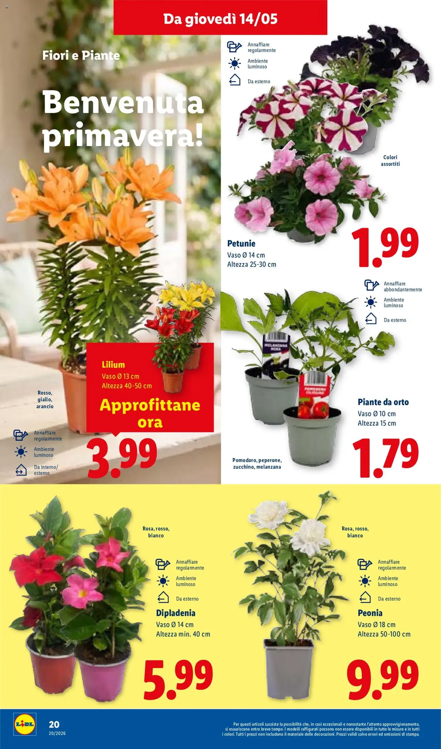 Lidl volantino - volantino valido dal 14/05/2026 pagina 28 di 50