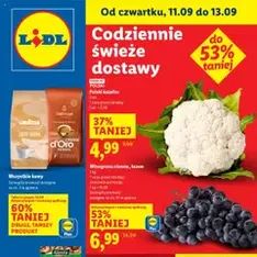 Lidl Gazetka - podgląd gazetki ważnej od 11.09.2025