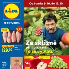 Lidl leták - náhled letáku platný od 09.10.2025
