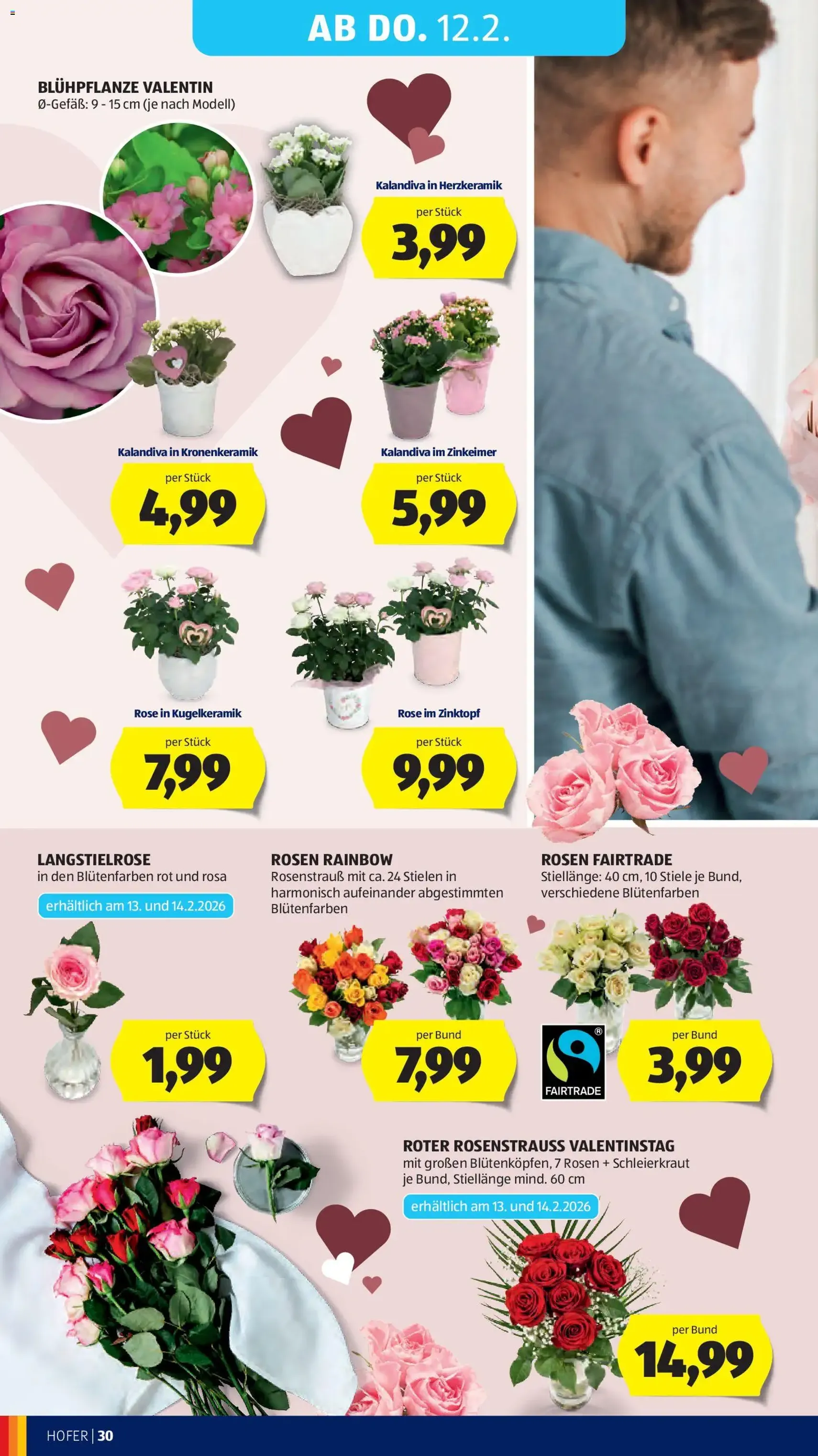 Hofer Flugblatt - Gültiger Prospekt ab 06.02.2026, Seite 34 von insgesamt 43