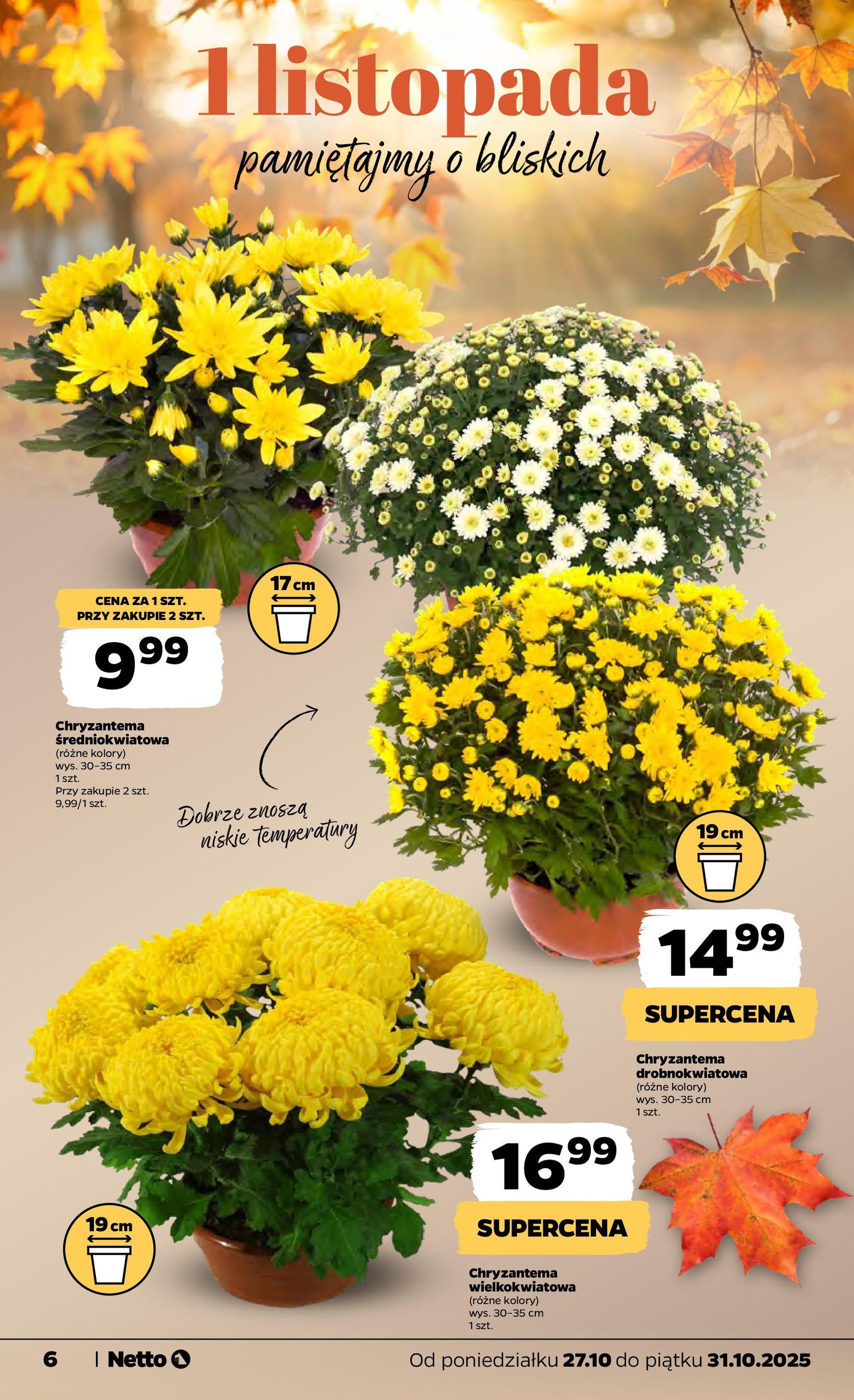Netto gazetka - Spożywcza - ważny gazetka od 27.10.2025 strona 6 z 32 Netto gazetka - Spożywcza - ważny gazetka od 27.10.2025 strona 6 z 32