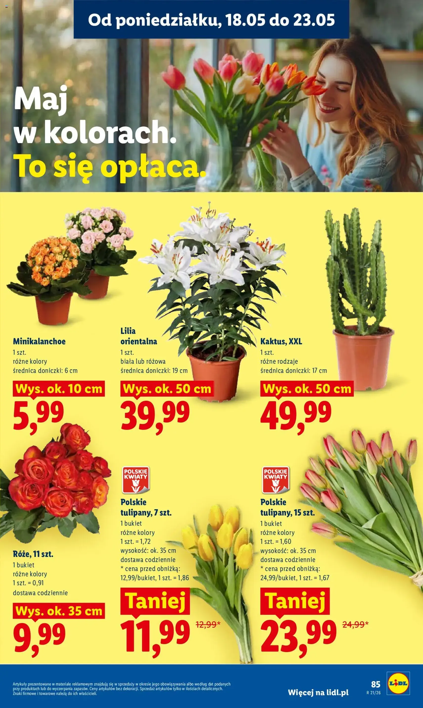 Lidl gazetka - ważny gazetka od 18.05.2026 strona 89 z 97