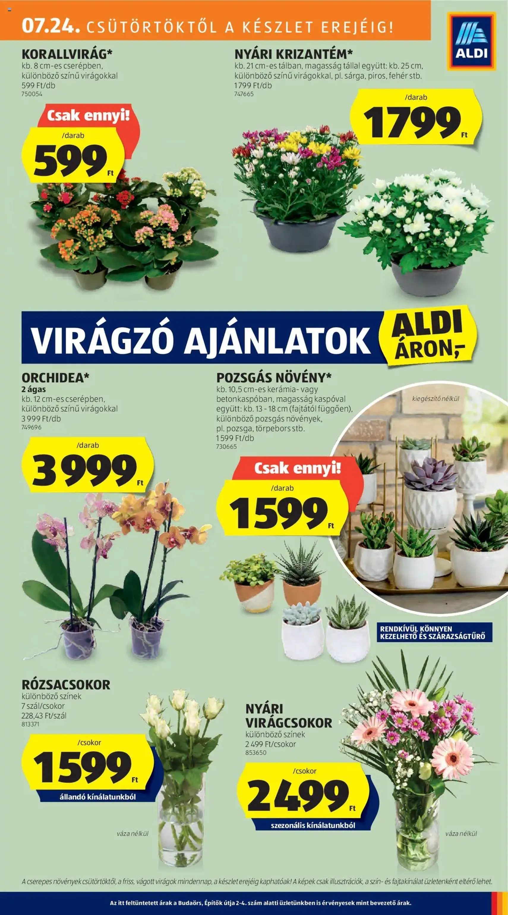 Aldi Akciós újság - 2025.07.24. érvényes szórólap 27 oldal 50 oldalból Aldi Akciós újság - 2025.07.24. érvényes szórólap 27 oldal 50 oldalból