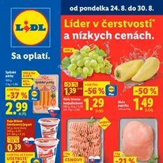 Lidl leták - náhľad letáku platný od 24.08.2026