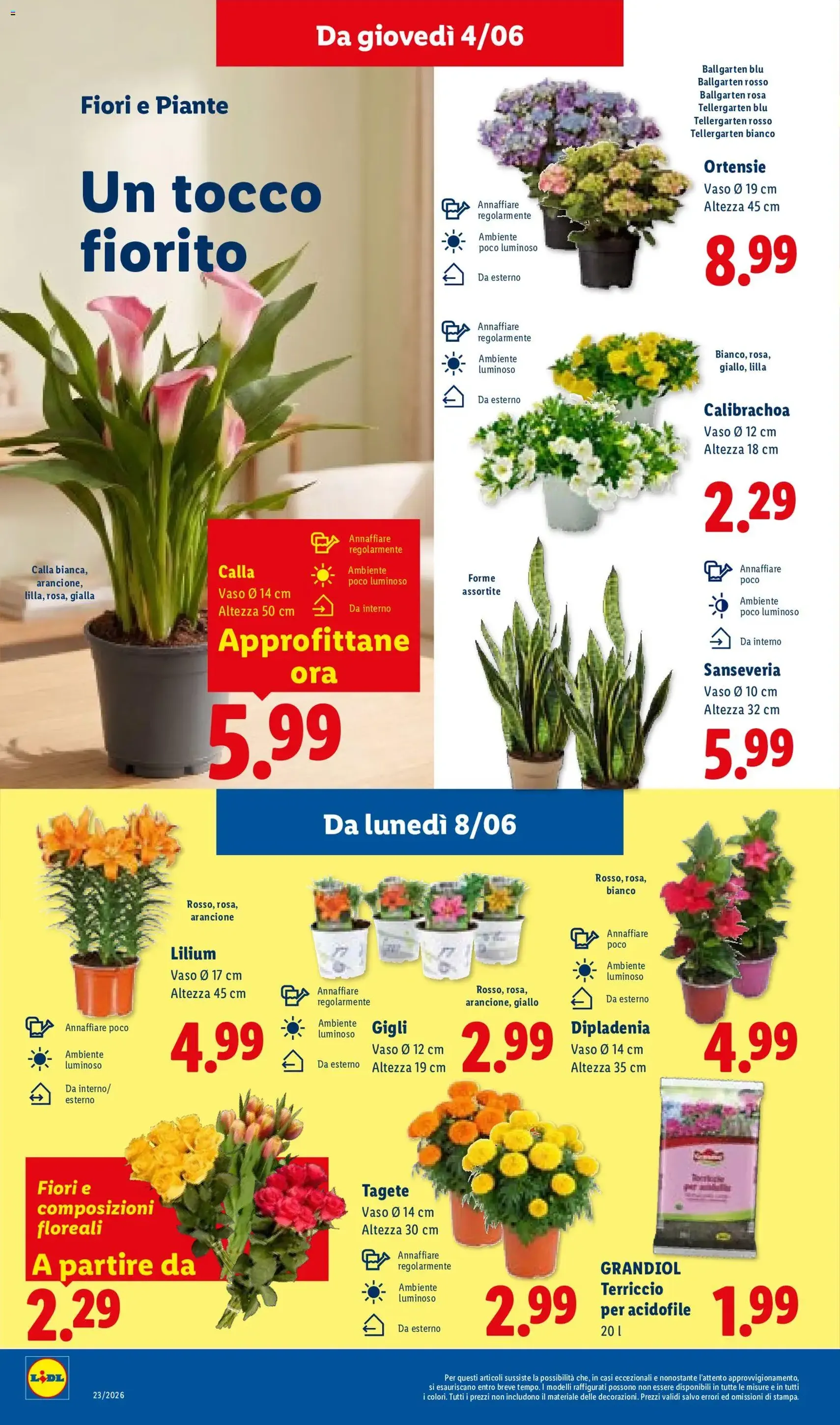 Lidl volantino - volantino valido dal 04/06/2026 pagina 32 di 48