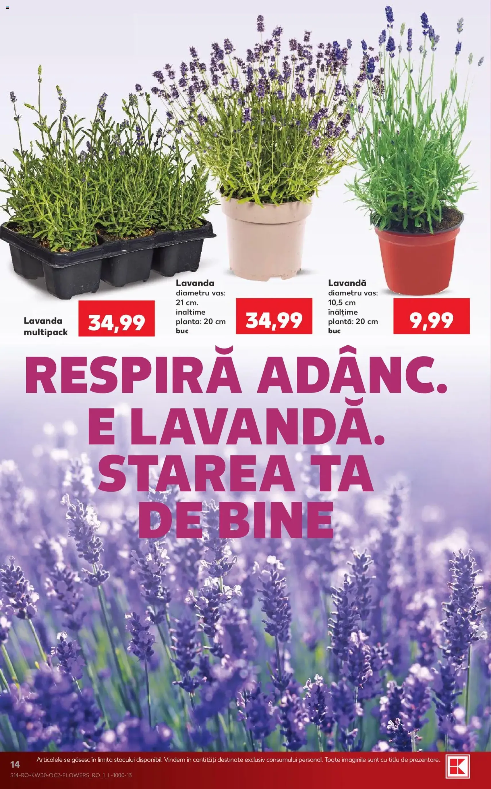 Kaufland Catalog - cataloage valabile începând cu 22.07.2026 pagina 14 din 68