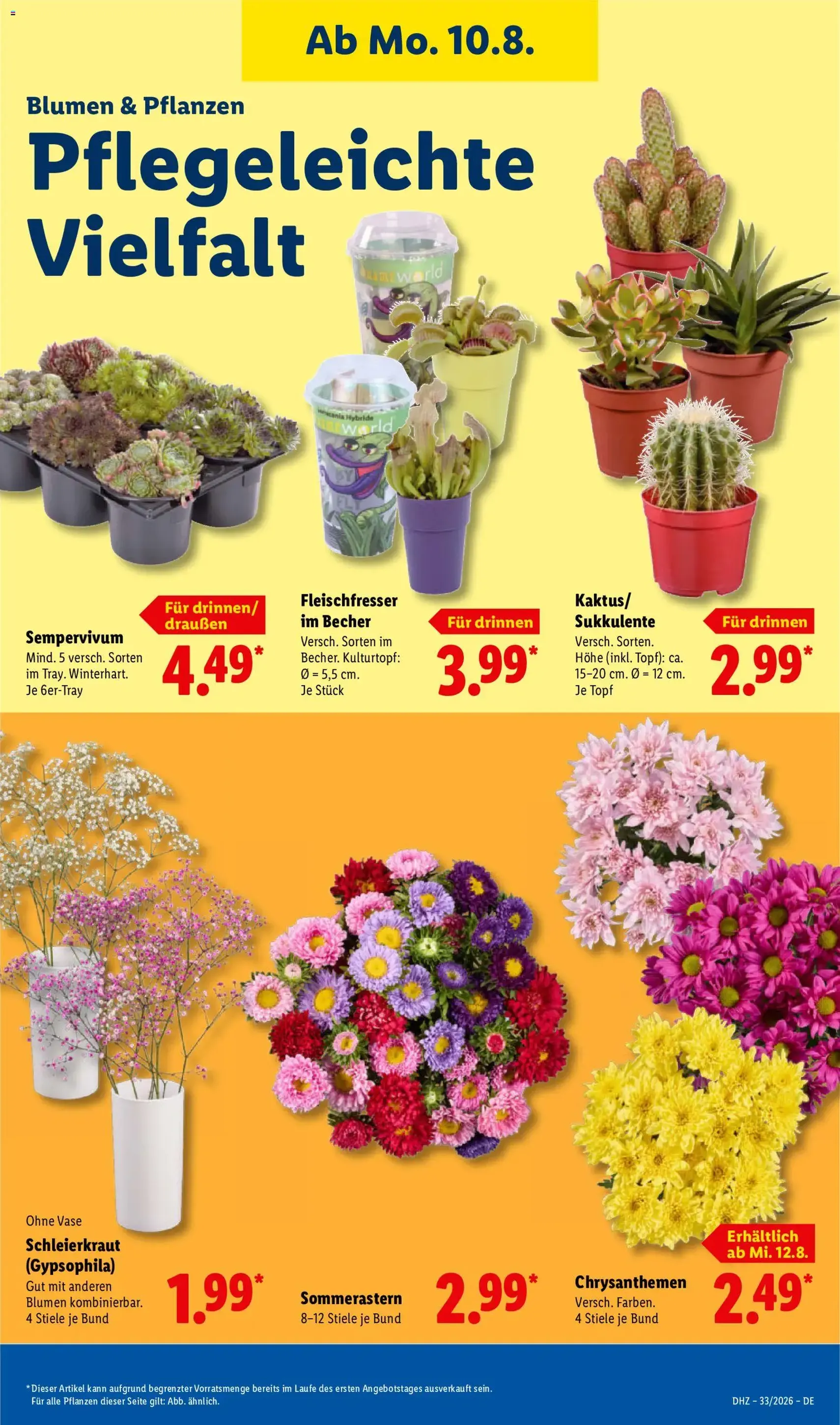 Lidl Prospekt - Gültiger Prospekt ab 10.08.2026, Seite 23 von insgesamt 73