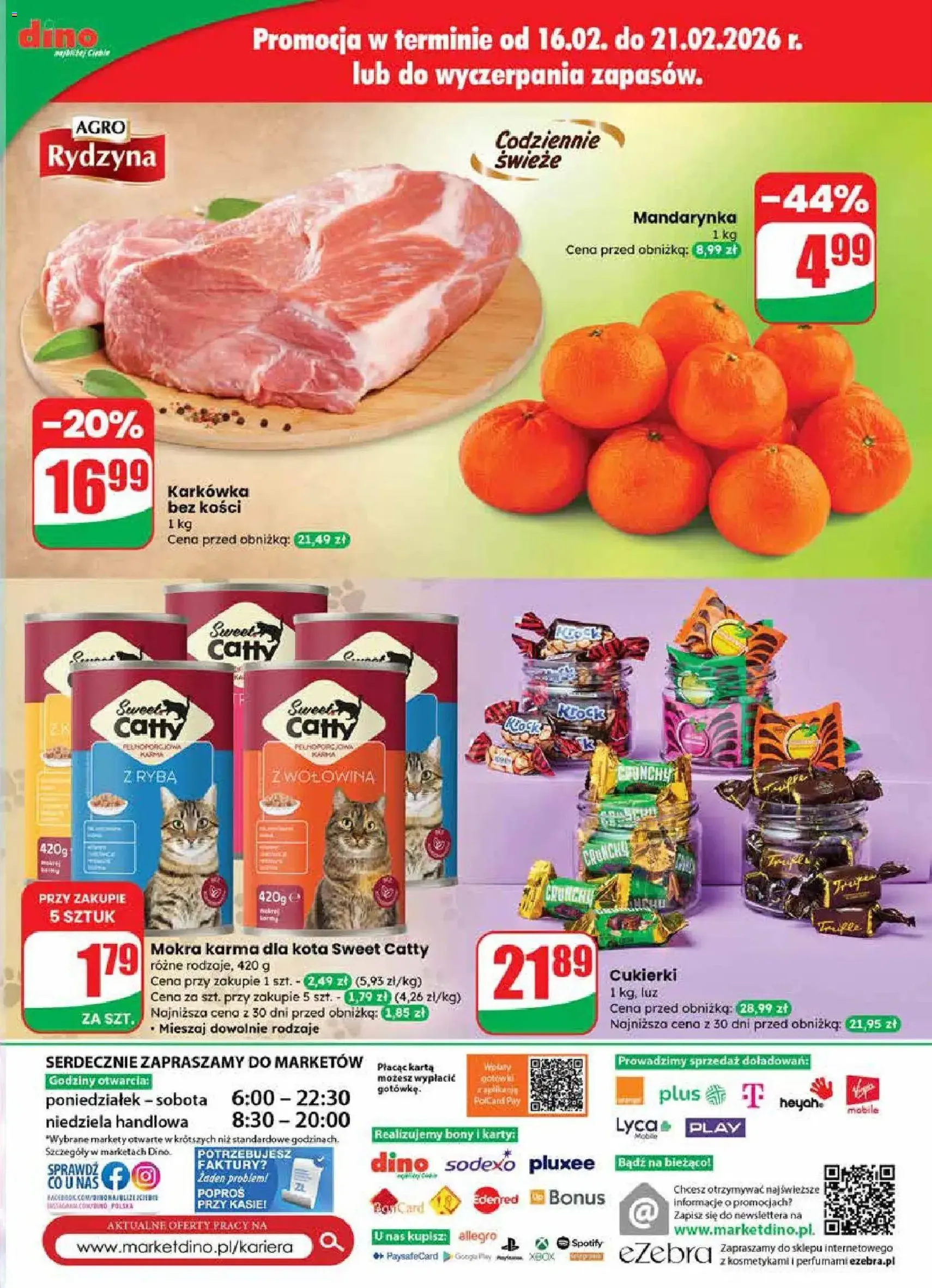 Dino Gazetka - ważny gazetka od 18.02.2026 strona 63 z 63