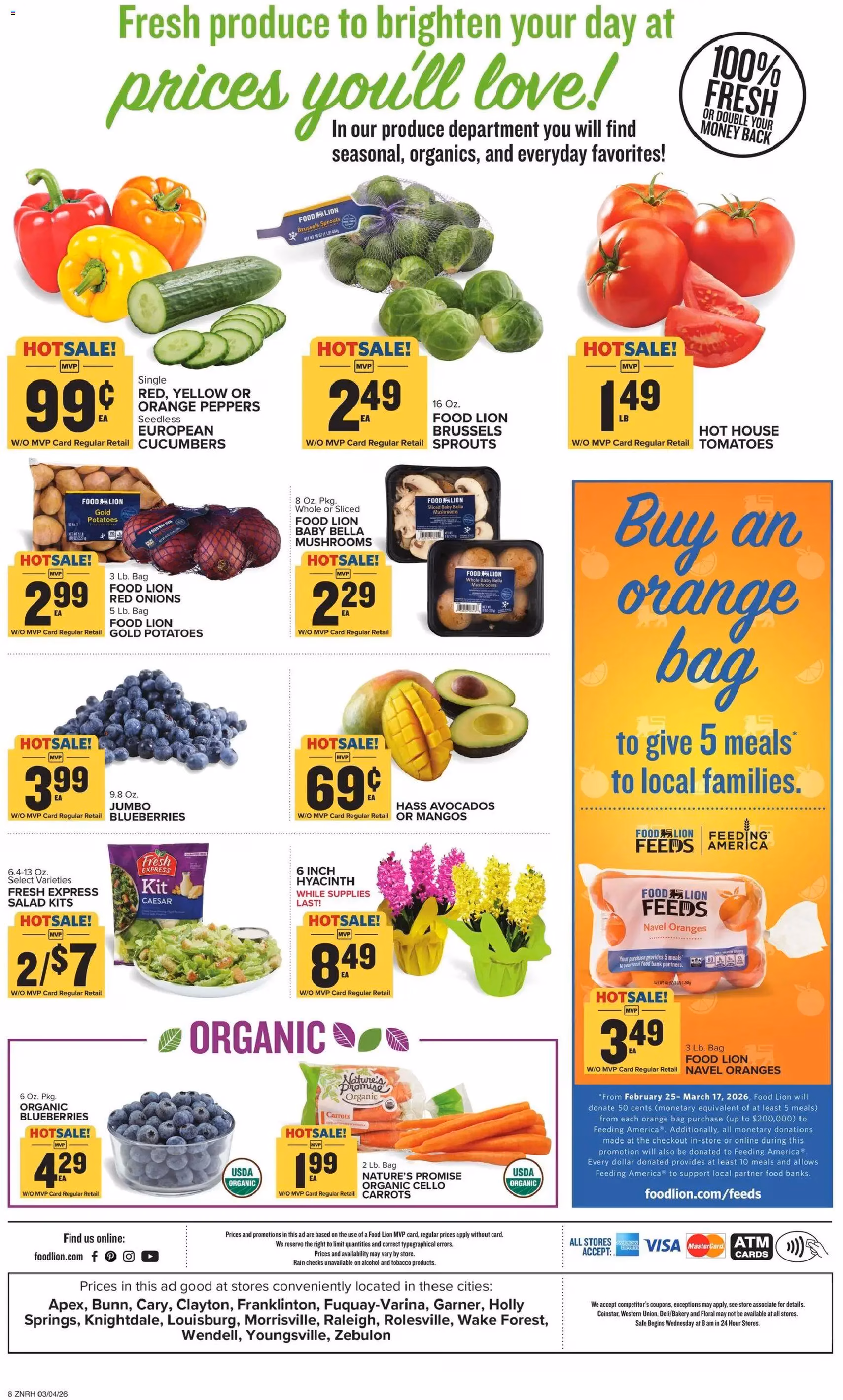Food Lion Weekly Ad - valid flyer from 03/04/2026, page 3 of 17