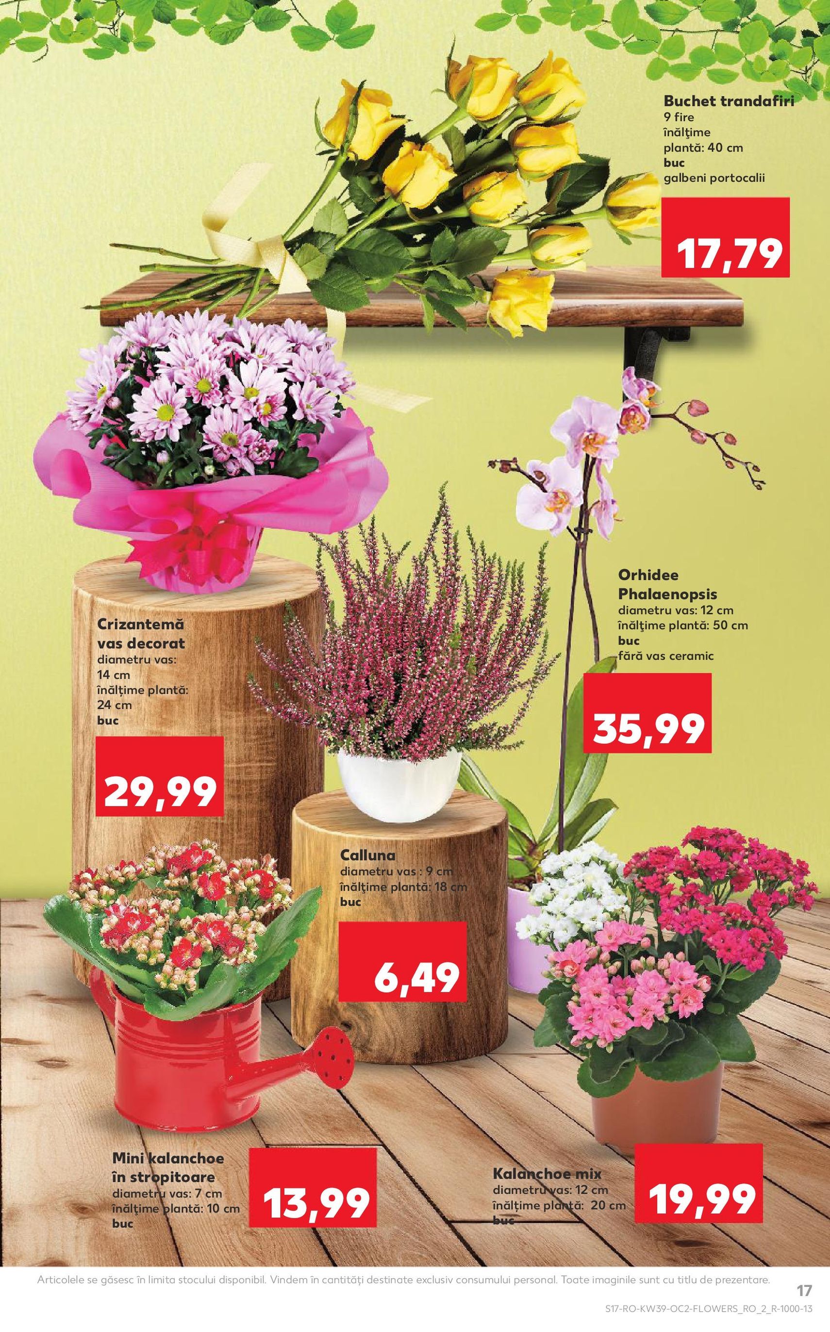 Catalog Kaufland - Bucureşti - cataloage valabile începând cu 24.09.2025 pagina 17 din 64