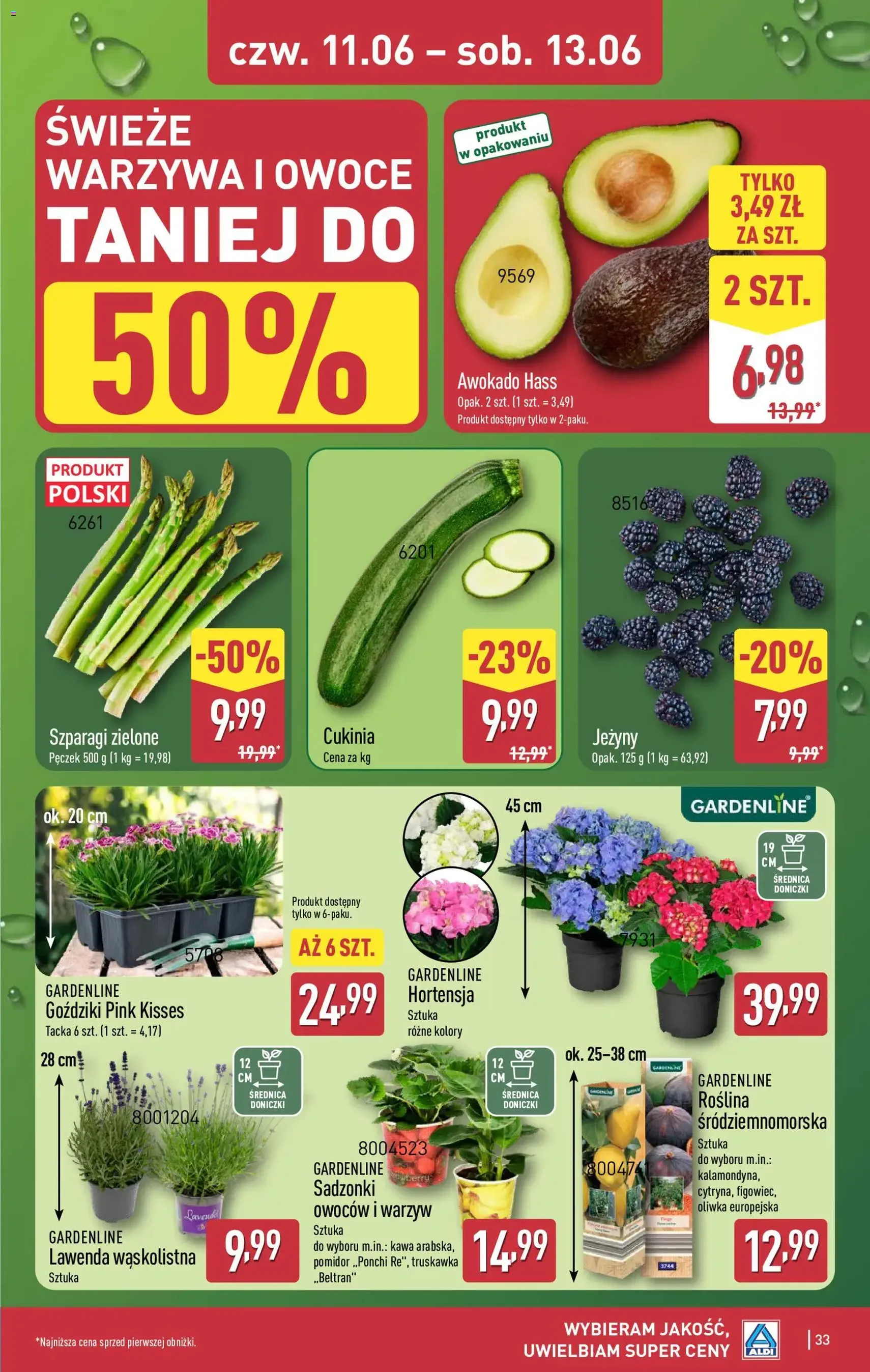 Aldi gazetka - ważny gazetka od 08.06.2026 strona 33 z 42