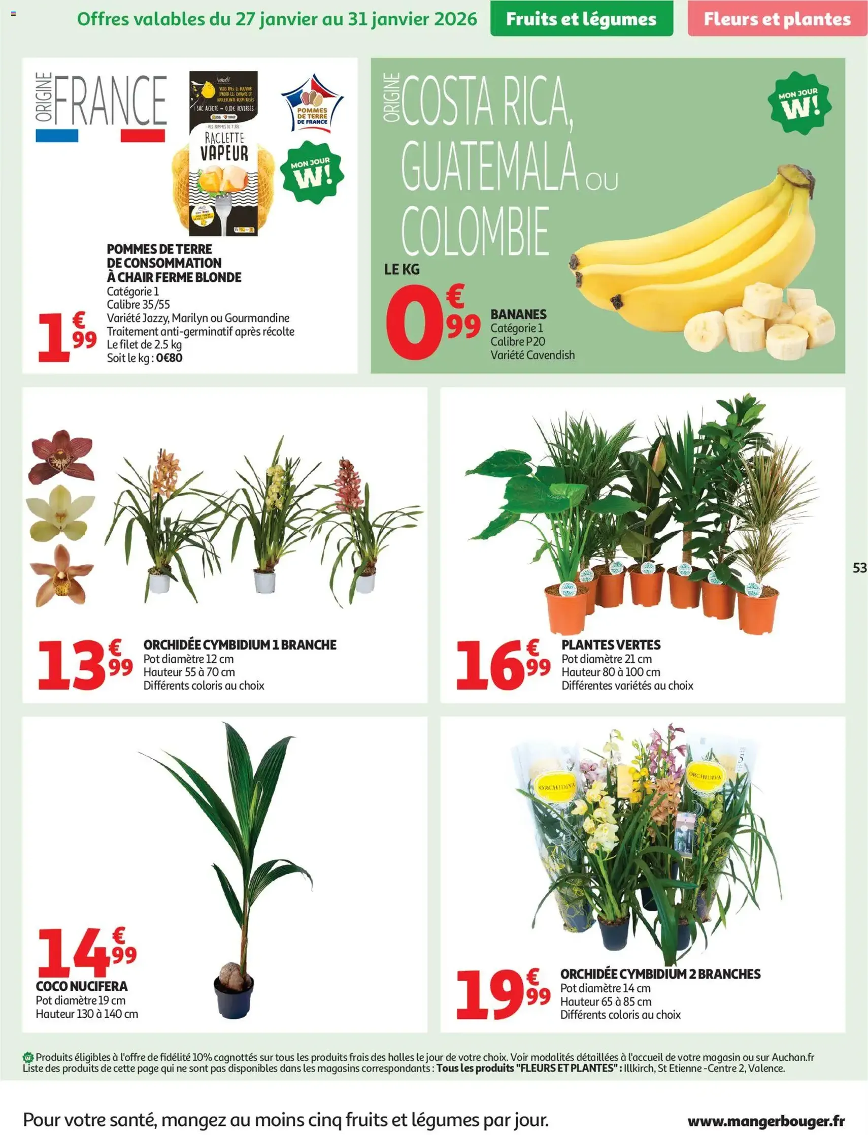 Auchan folder / publicité - geldige folder vanaf 27/01/2026 pagina 53 van 58