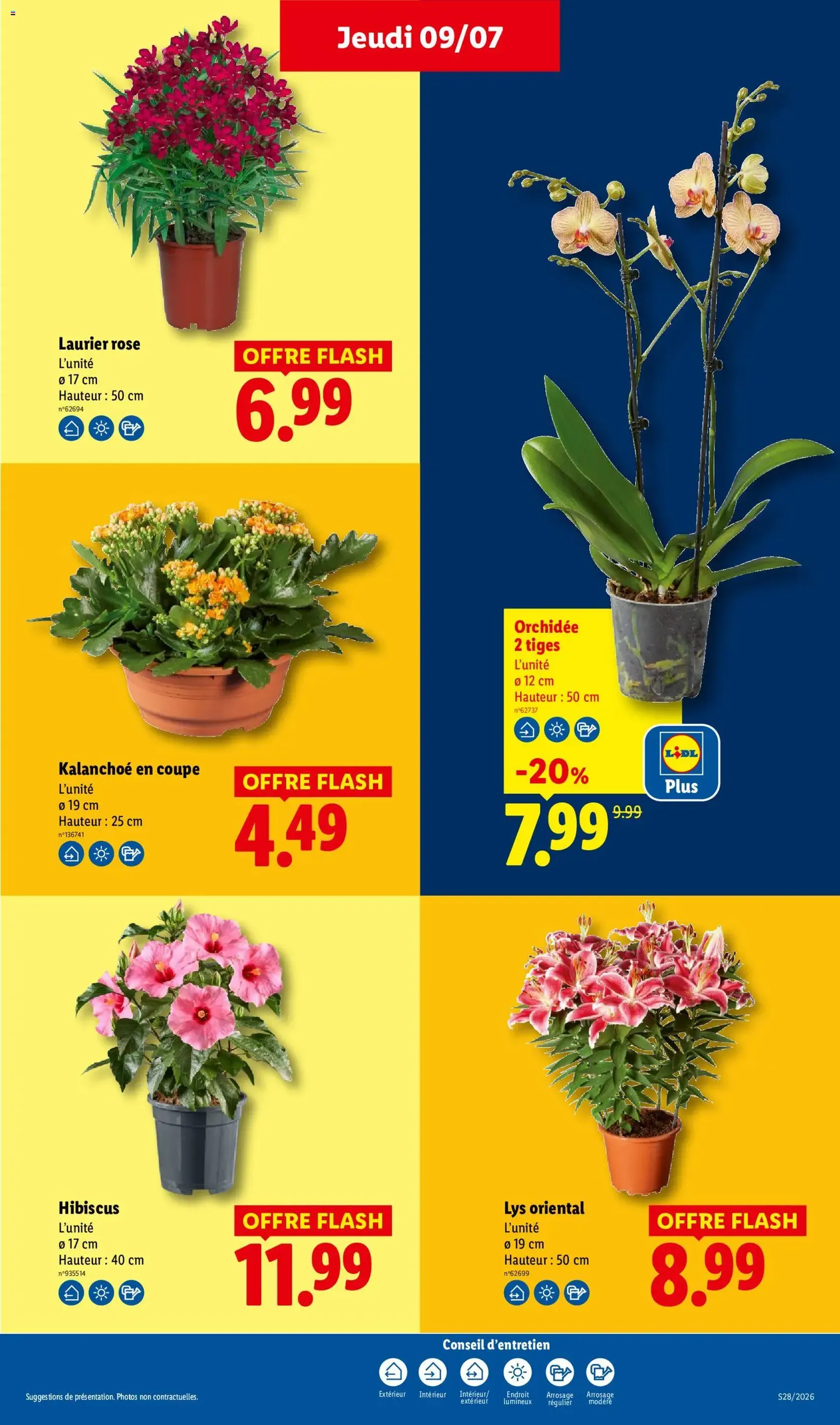 LIDL catalogue - brochure valable à partir du 09/07/2026, page 31 sur 68