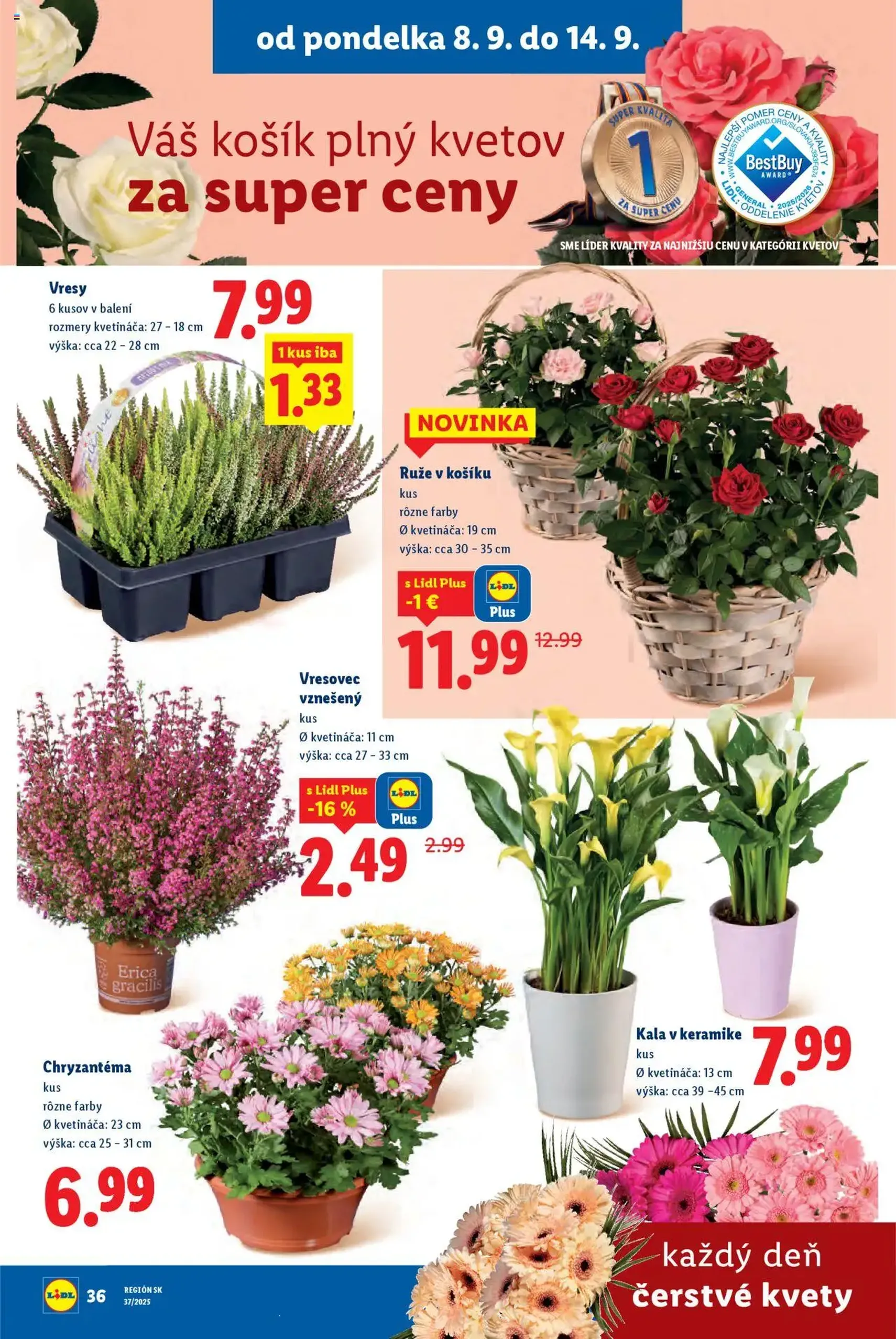 Lidl leták - platný leták od 08.09.2025 strana 44 z 91 Lidl leták - platný leták od 08.09.2025 strana 44 z 91
