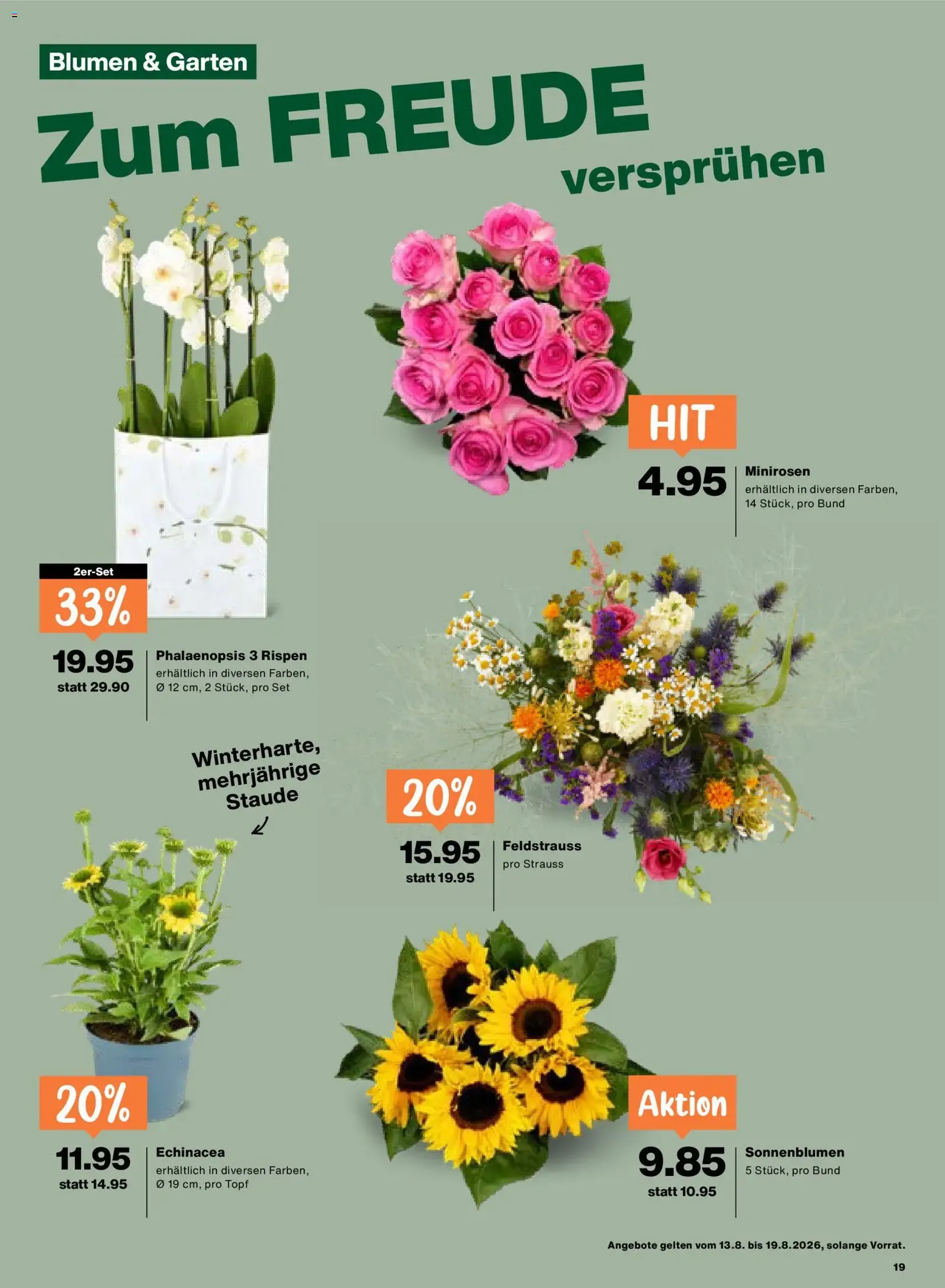 Migros aktionen - Gültiger Prospekt ab 13.08.2026, Seite 19 von insgesamt 20