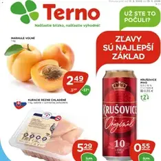 Terno leták - náhľad letáku platný od 13.08.2026