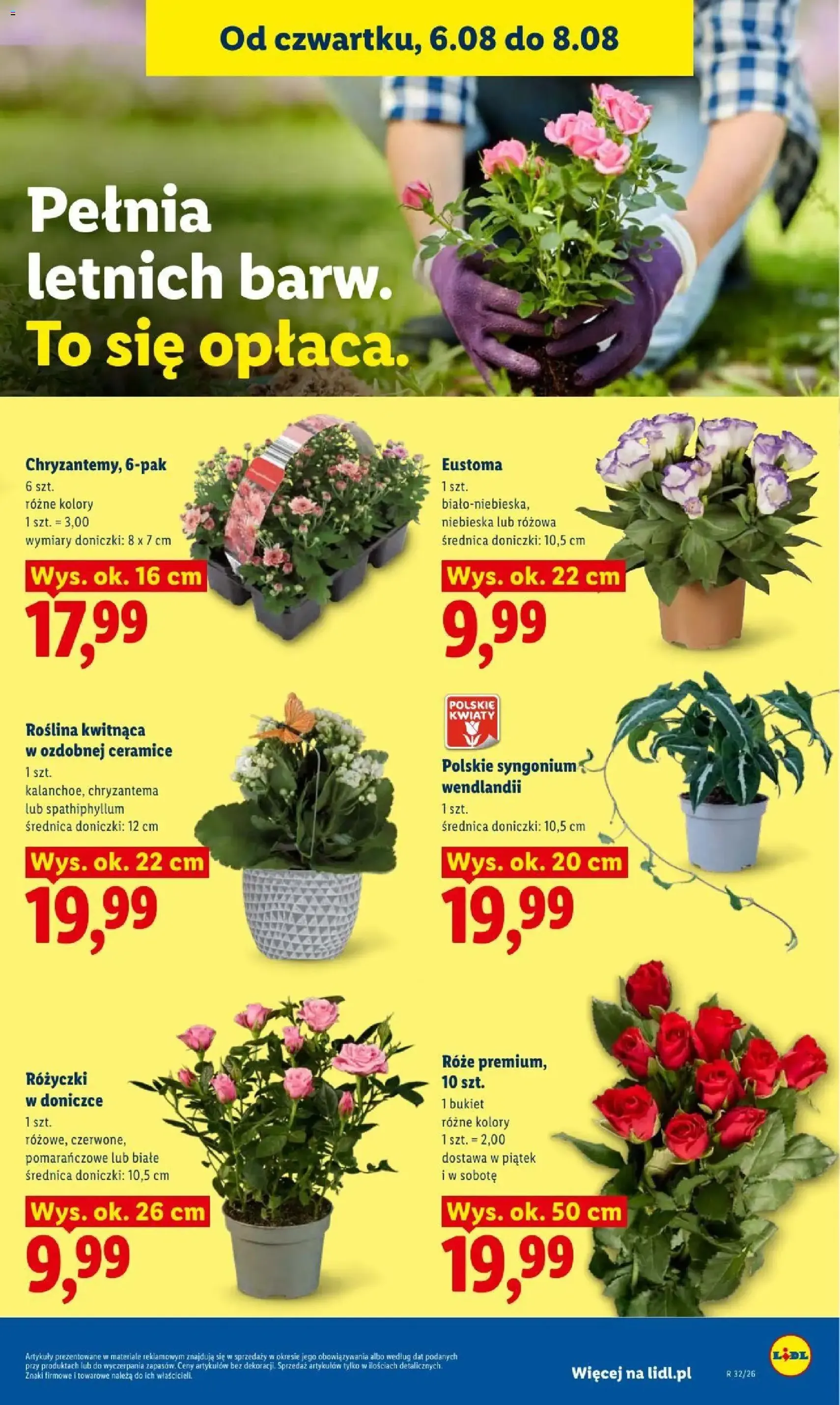 Lidl gazetka - ważny gazetka od 06.08.2026 strona 87 z 89