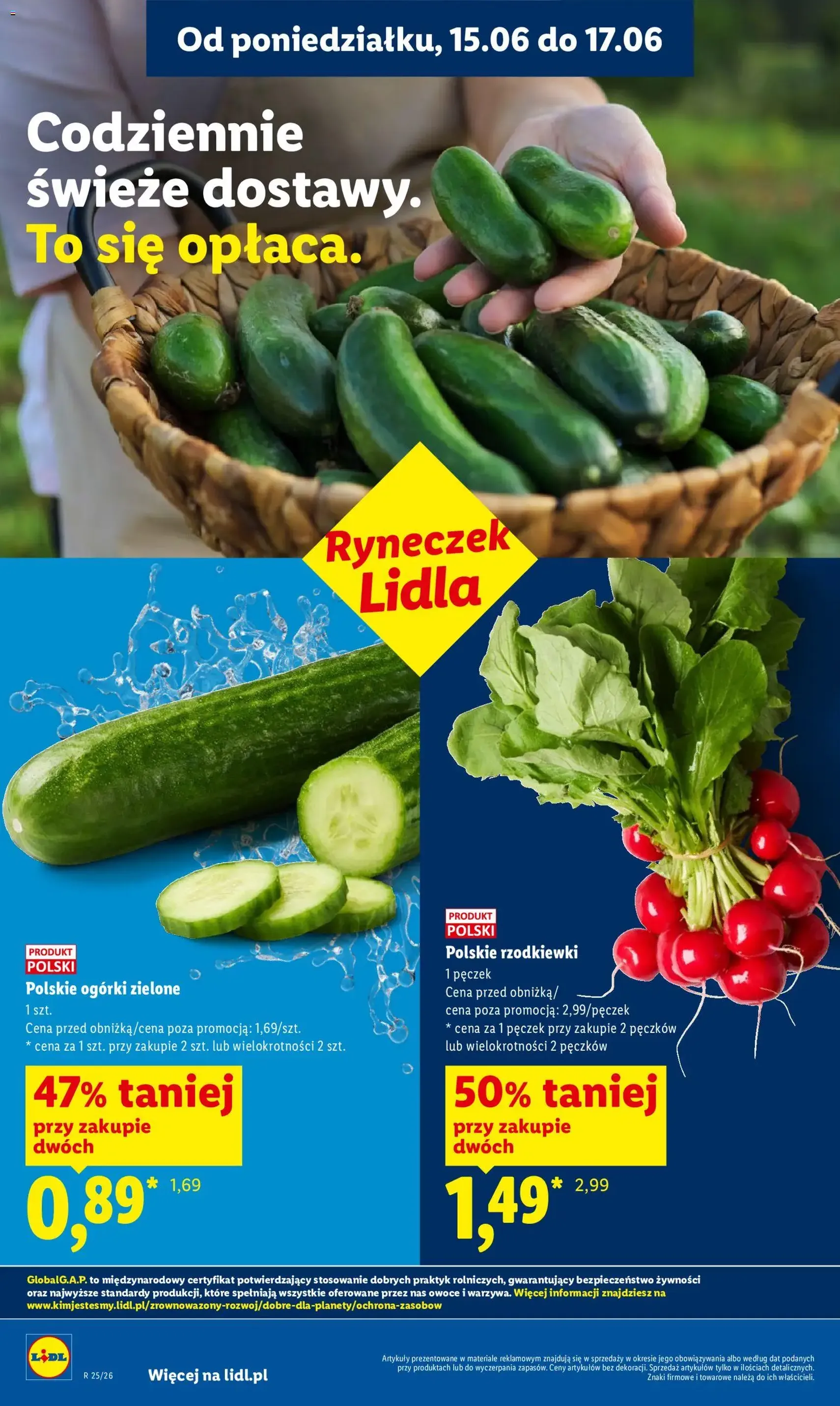 Lidl gazetka - ważny gazetka od 15.06.2026 strona 36 z 101