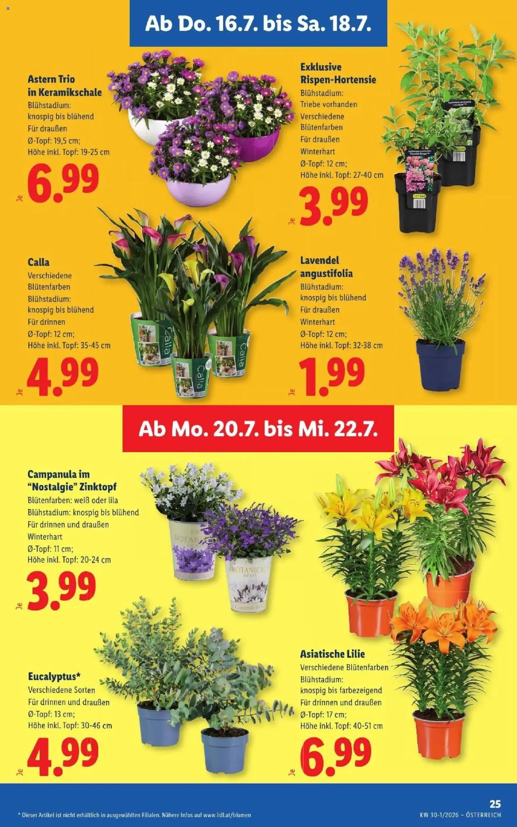 Lidl - Flugblatt - Gültiger Prospekt ab 16.07.2026, Seite 29 von insgesamt 54
