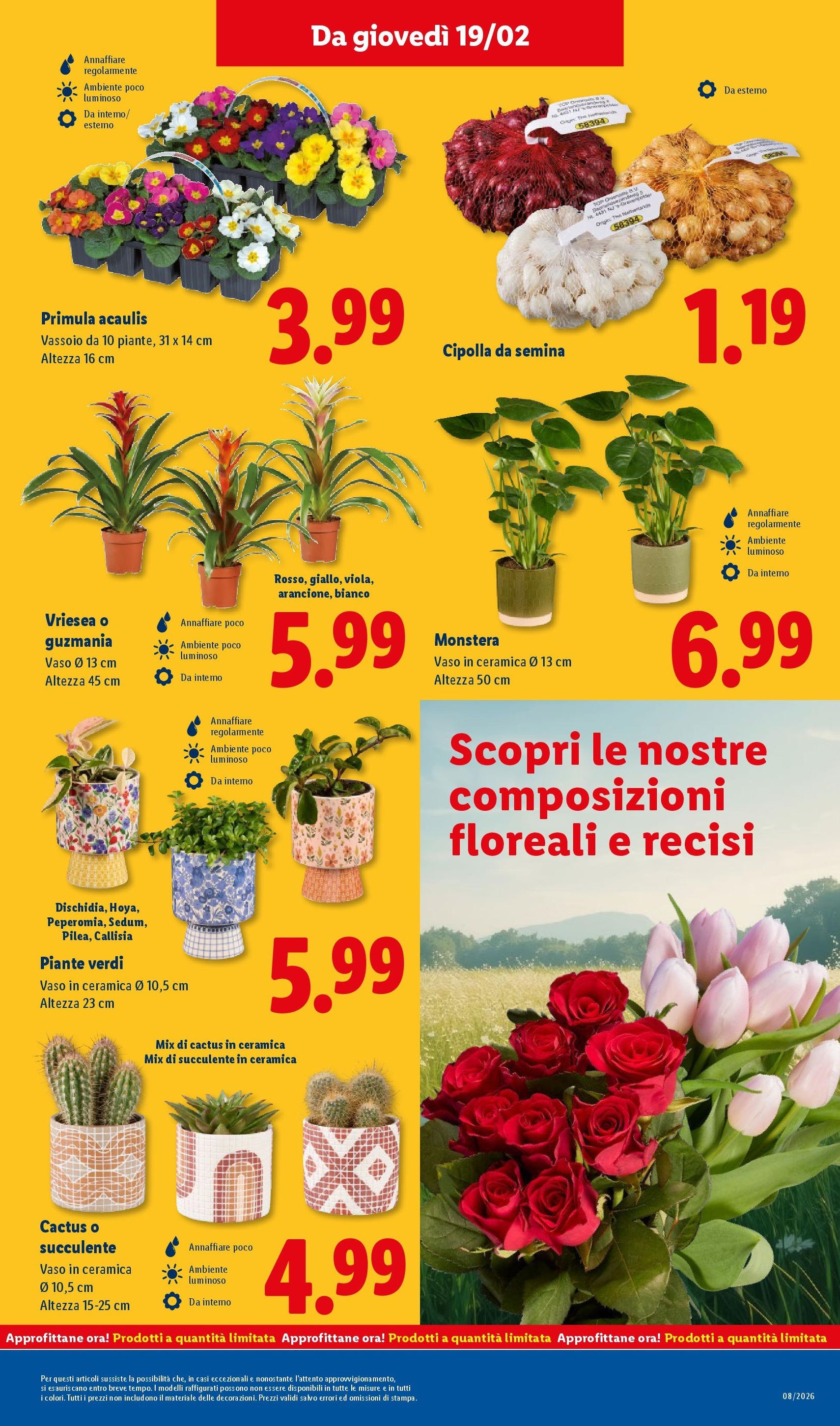 Volantino Lidl - volantino valido dal 16/02/2026 pagina 51 di 57