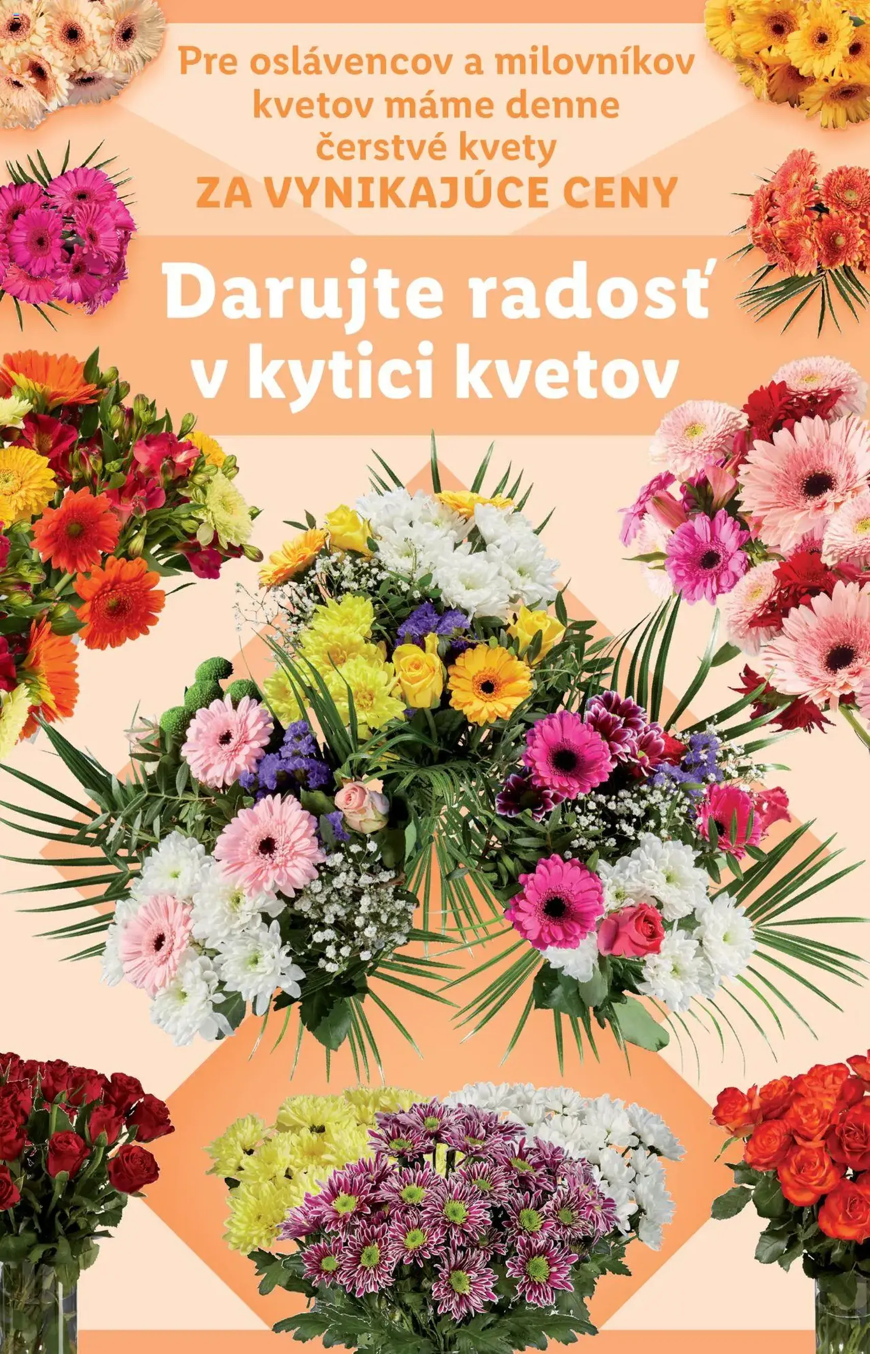 Lidl leták - platný leták od 29.09.2025 strana 47 z 95
