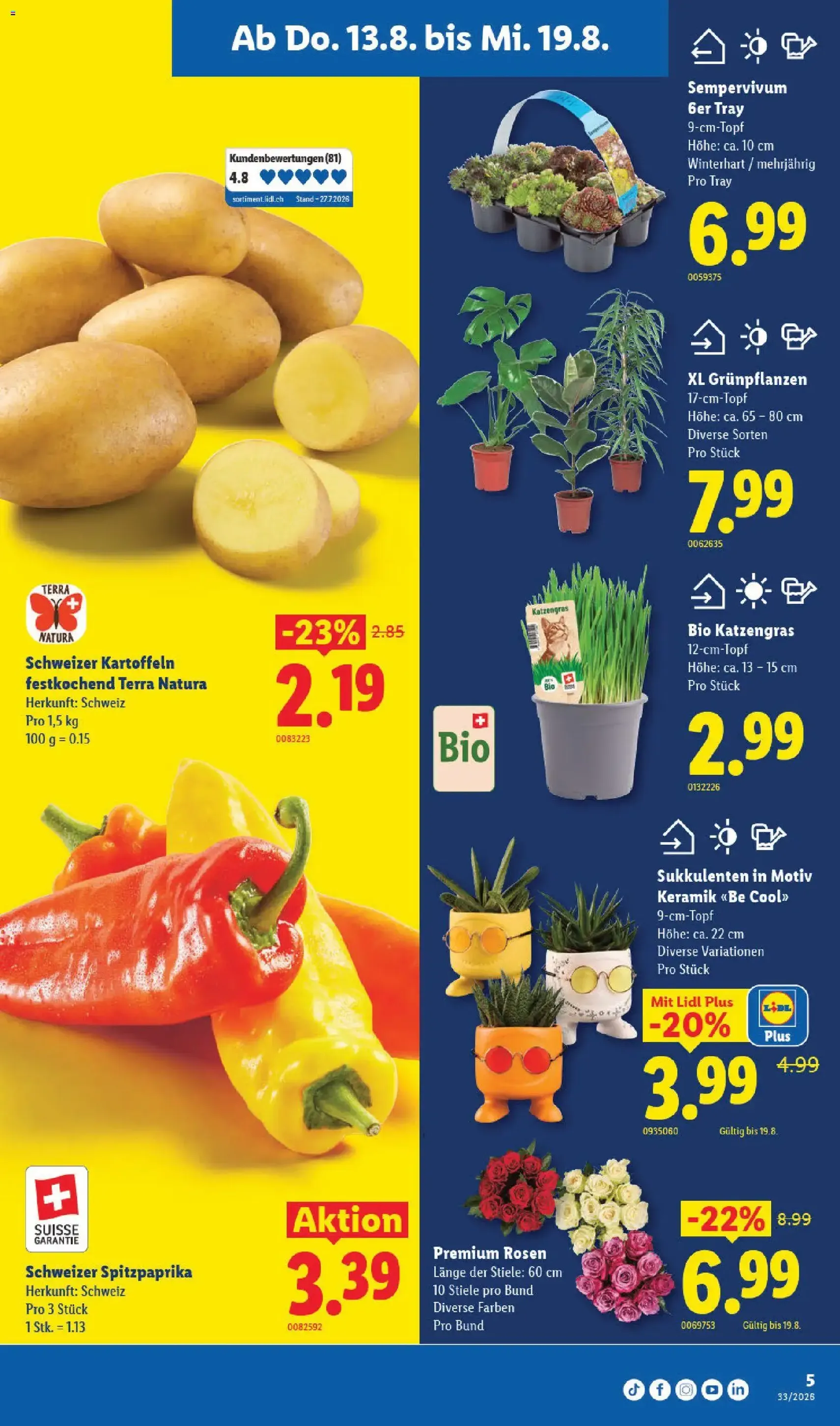 Lidl aktionen - Gültiger Prospekt ab 13.08.2026, Seite 9 von insgesamt 36