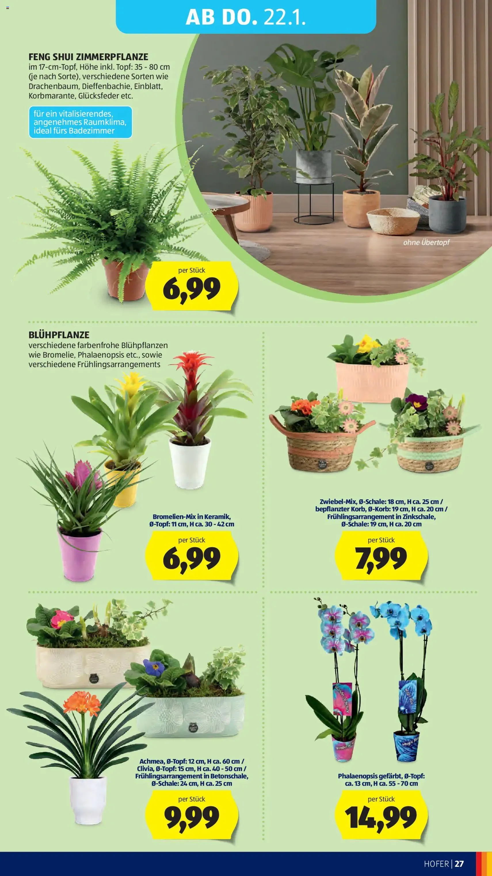 Hofer Flugblatt - Gültiger Prospekt ab 14.01.2026, Seite 31 von insgesamt 41