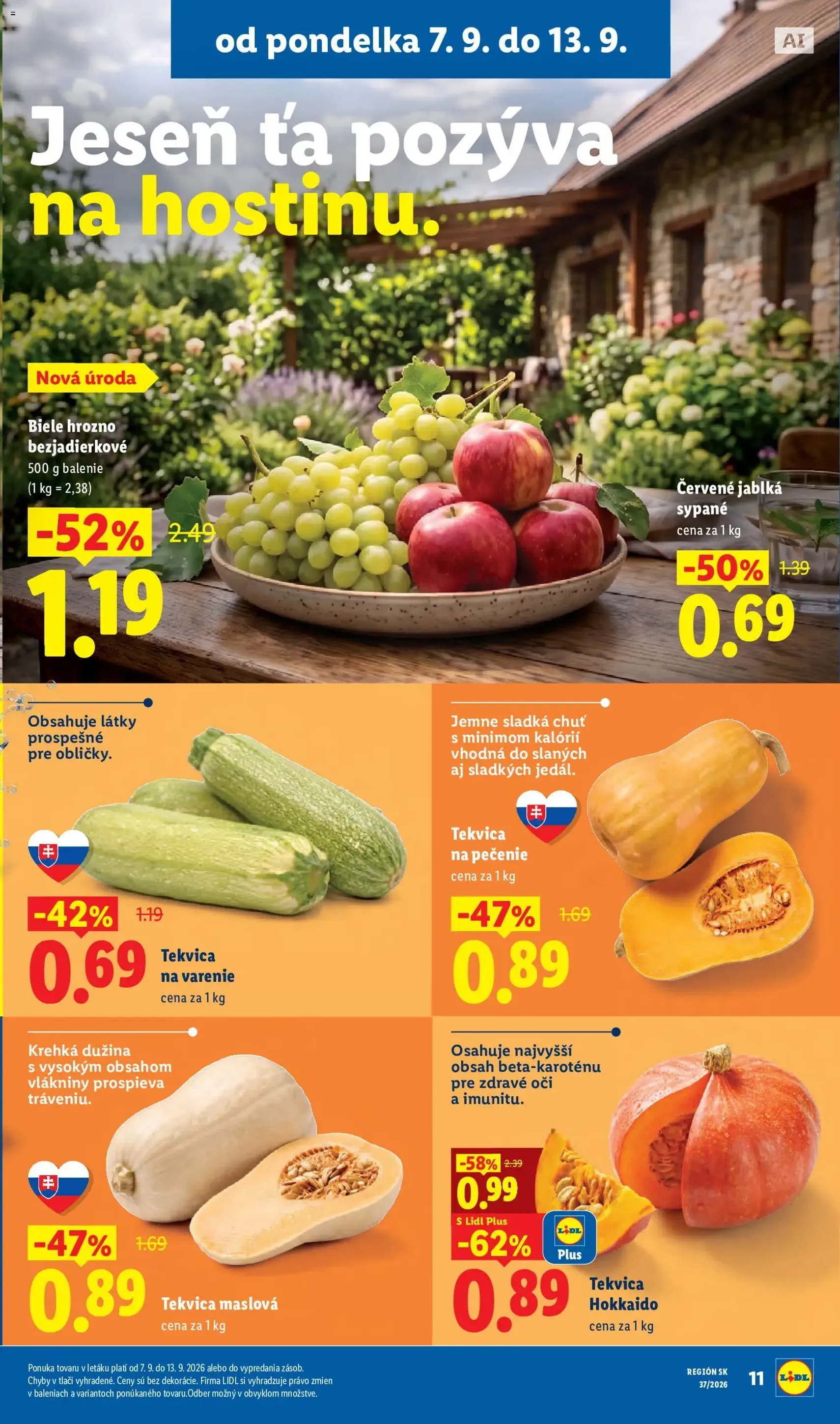 Lidl leták - platný leták od 07.09.2026 strana 13 z 100